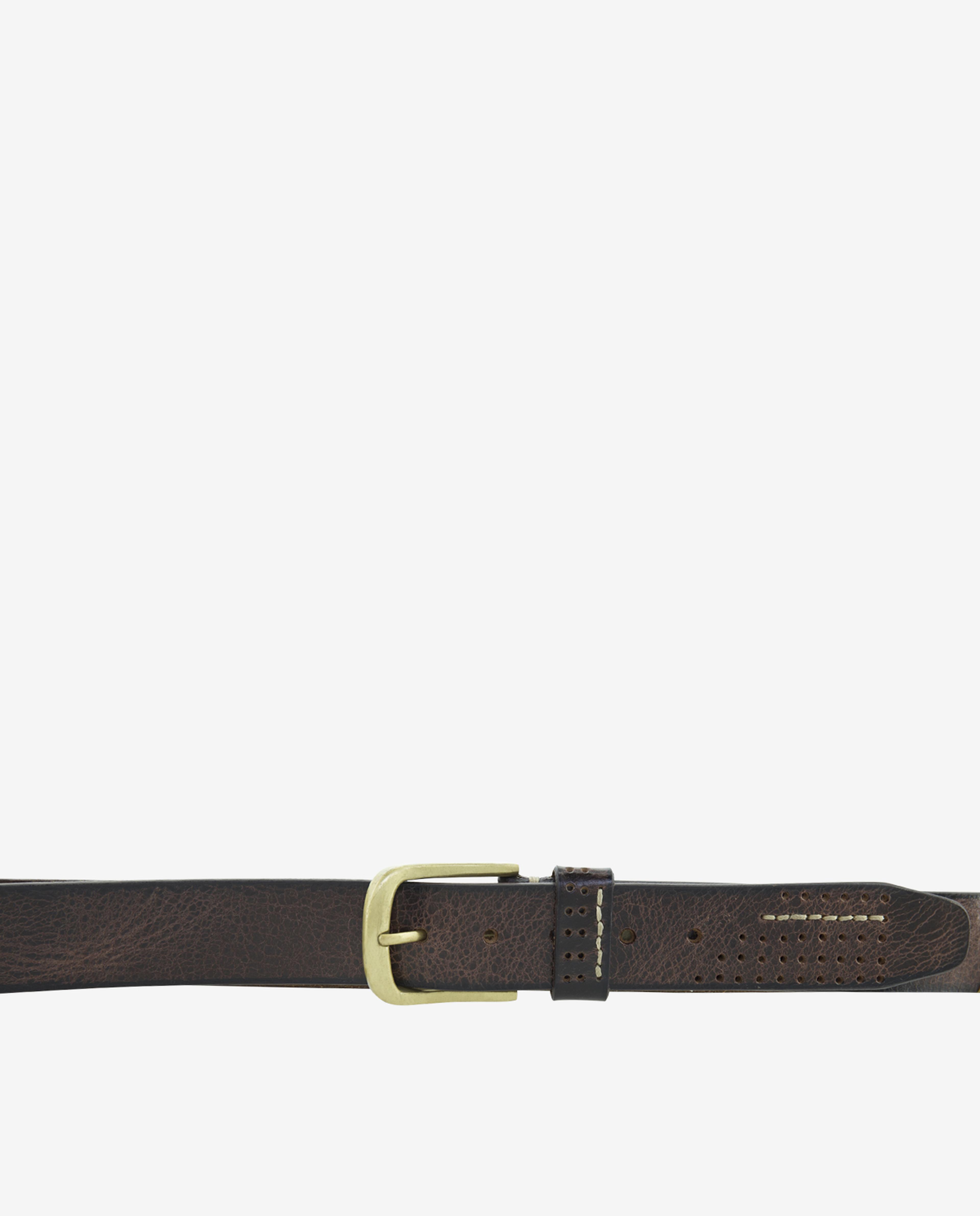 Brown Belt