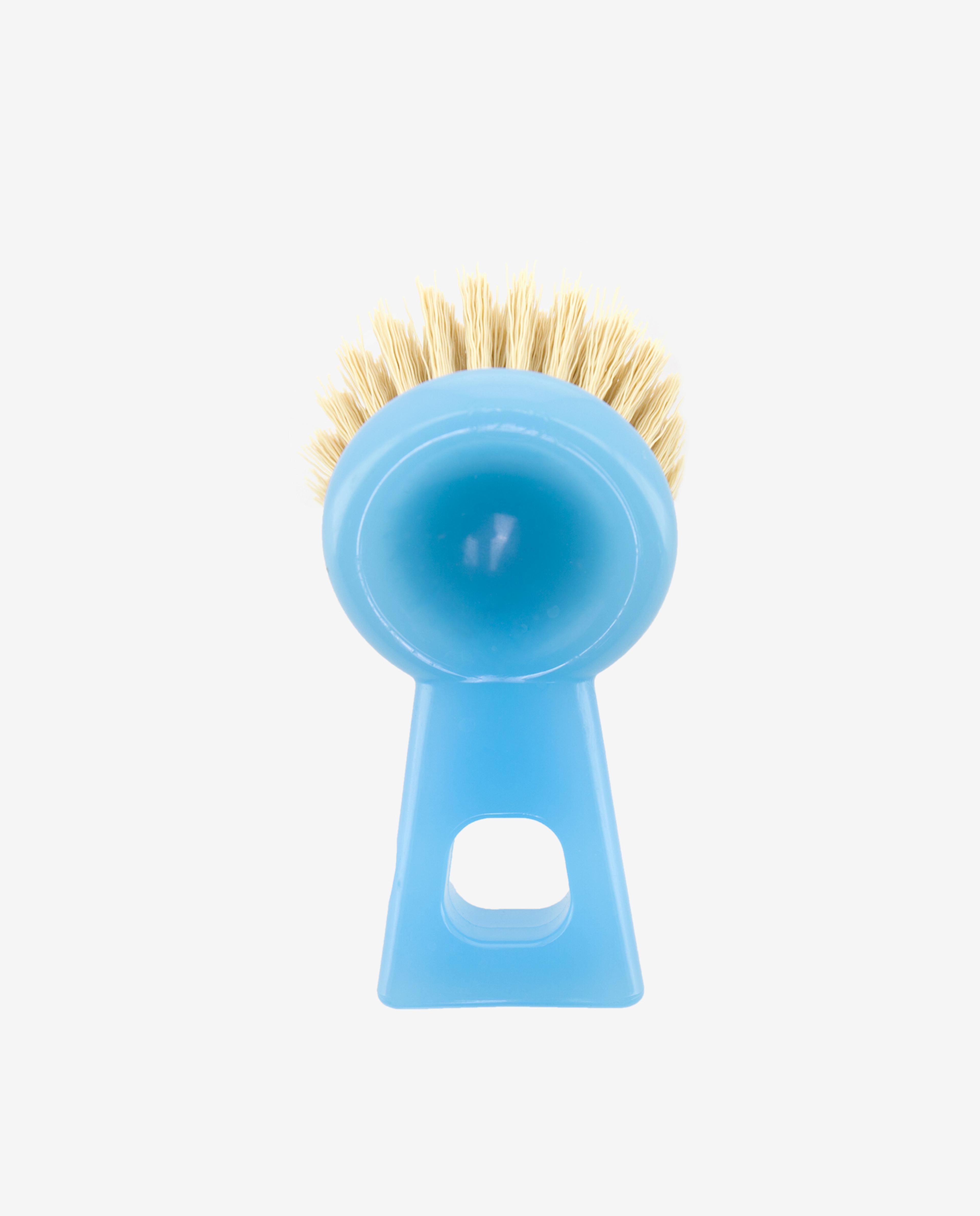 Blue Cleaning Brush