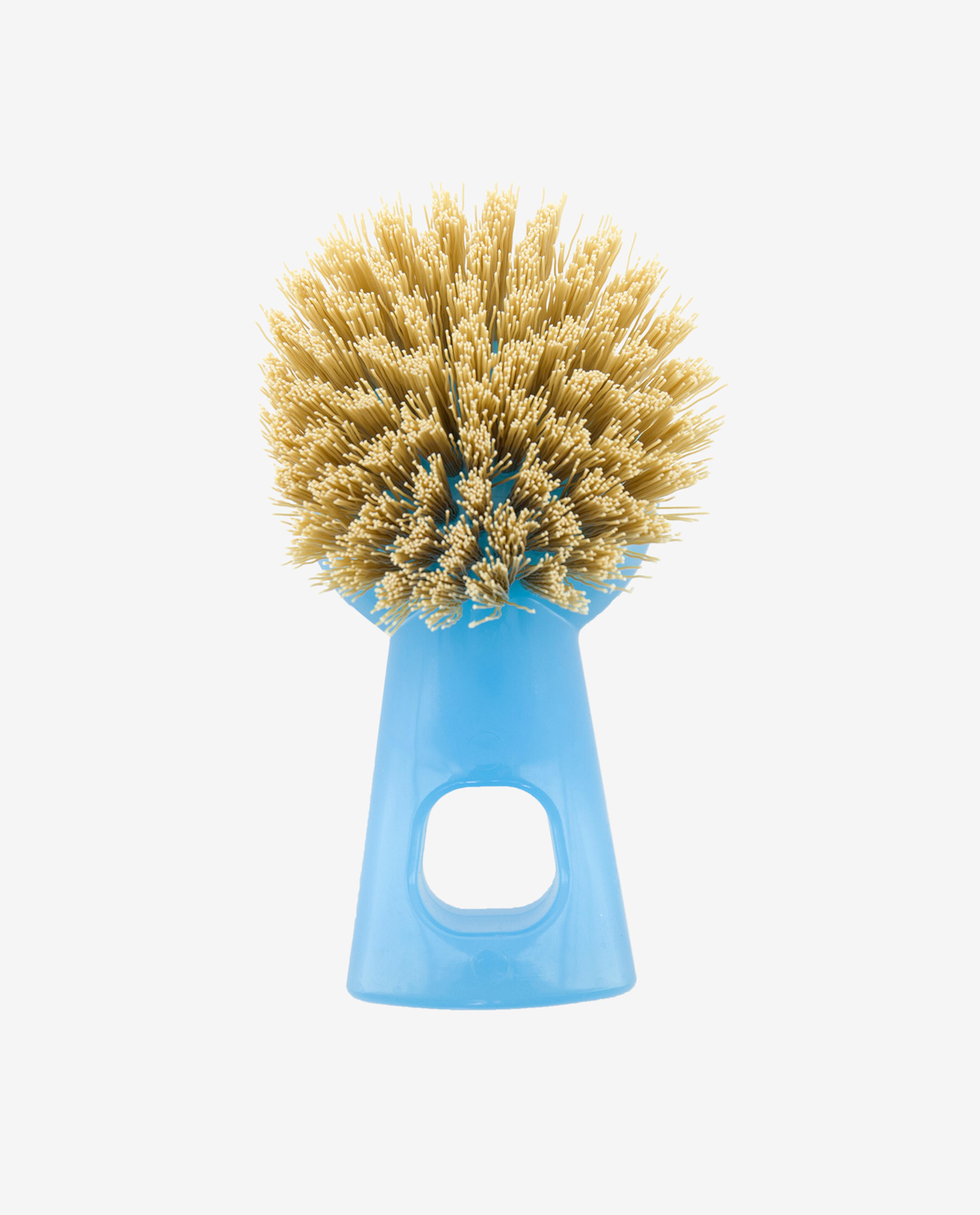 Blue Cleaning Brush