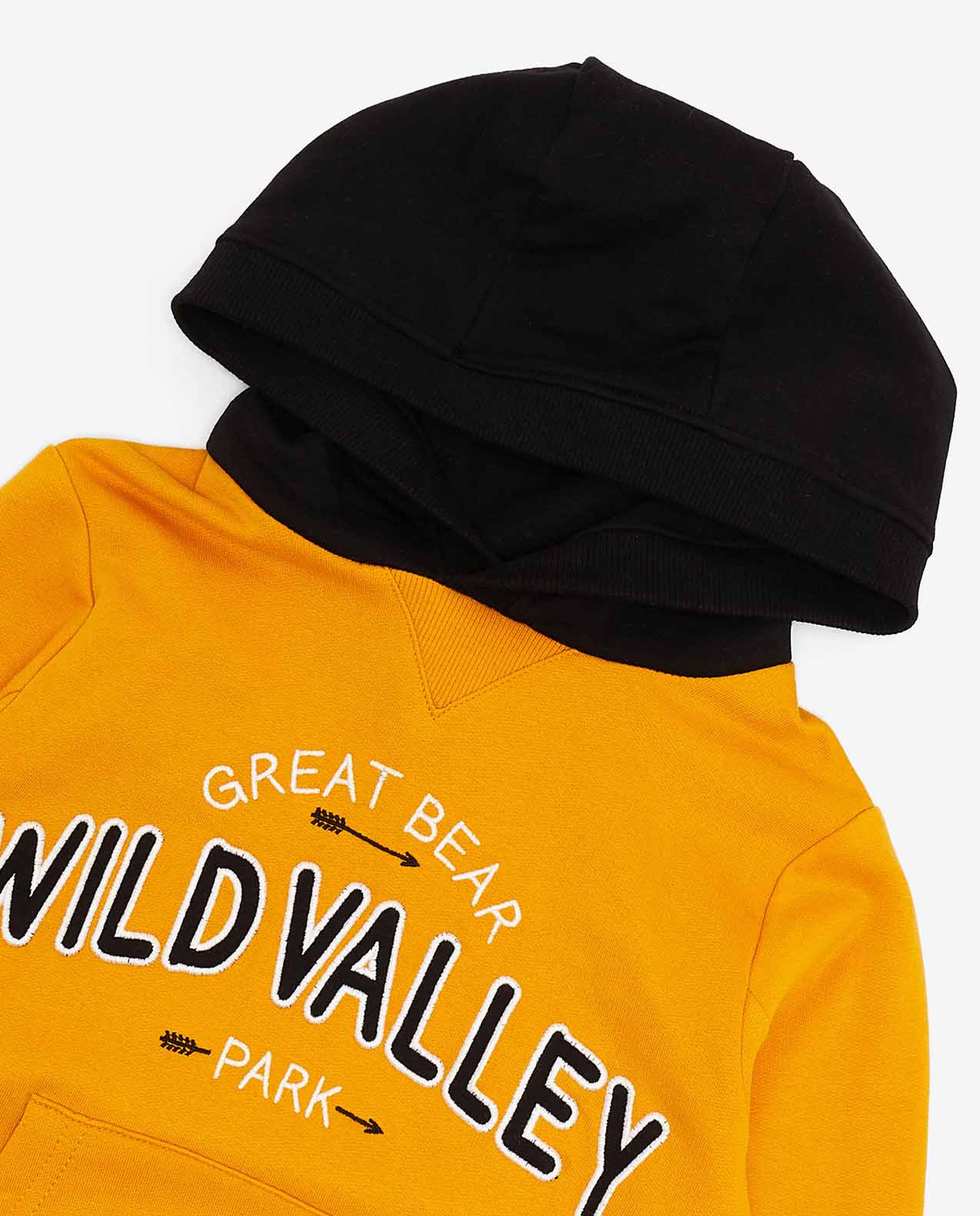 Typography Printed Hooded Sweatshirt with Long Sleeves