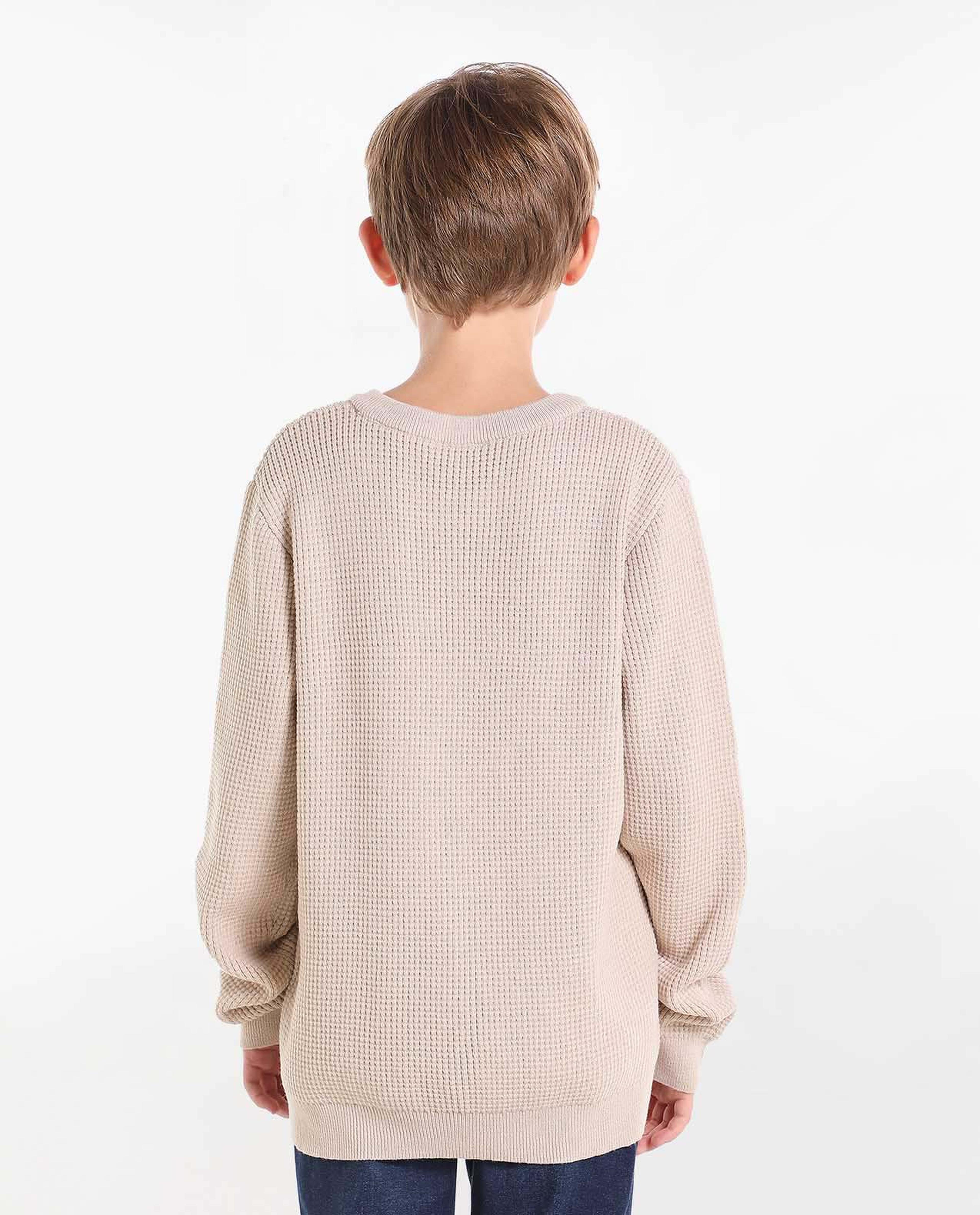 Solid Sweater with Crew Neck and Long Sleeves