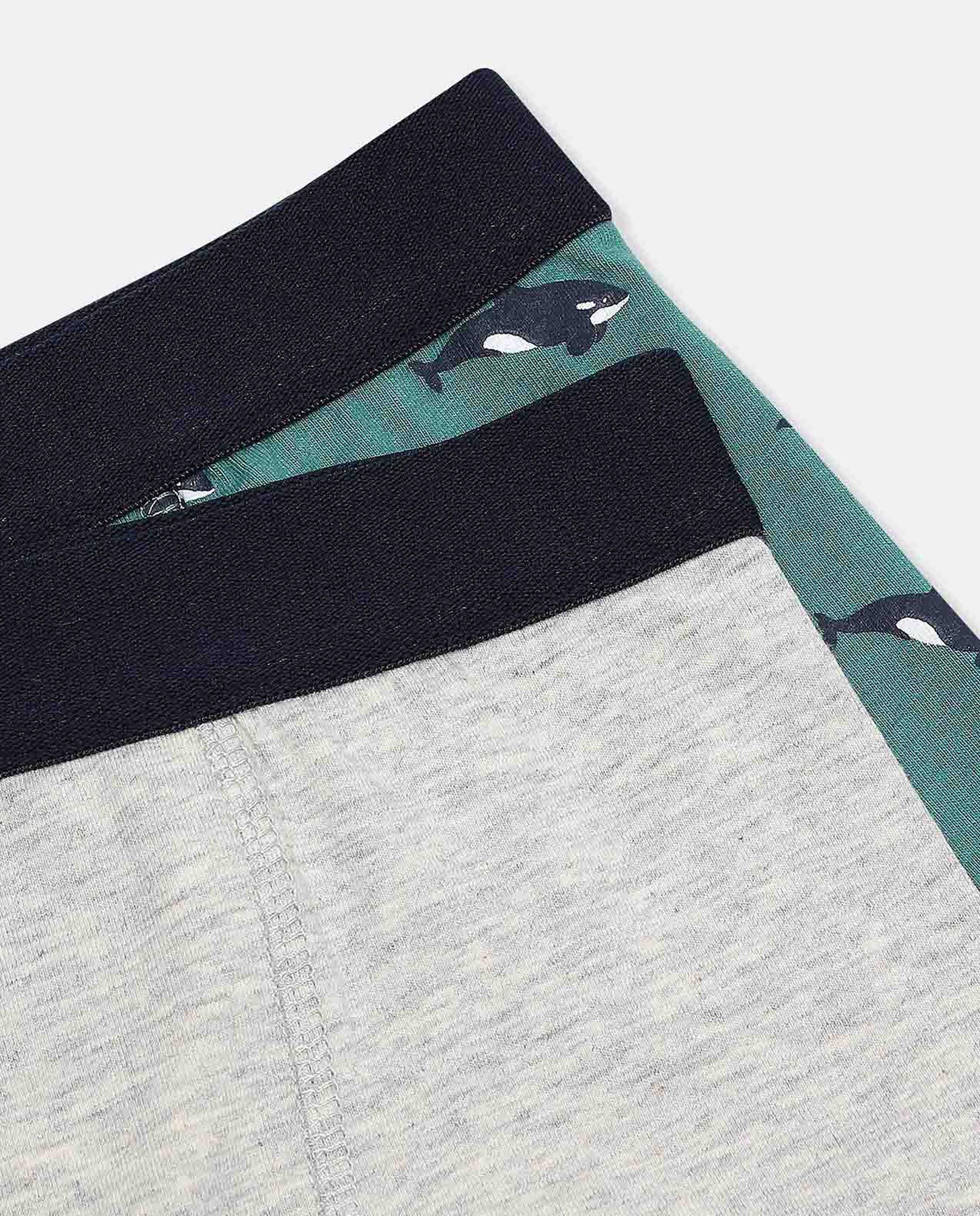 Pack of 2 Trunks