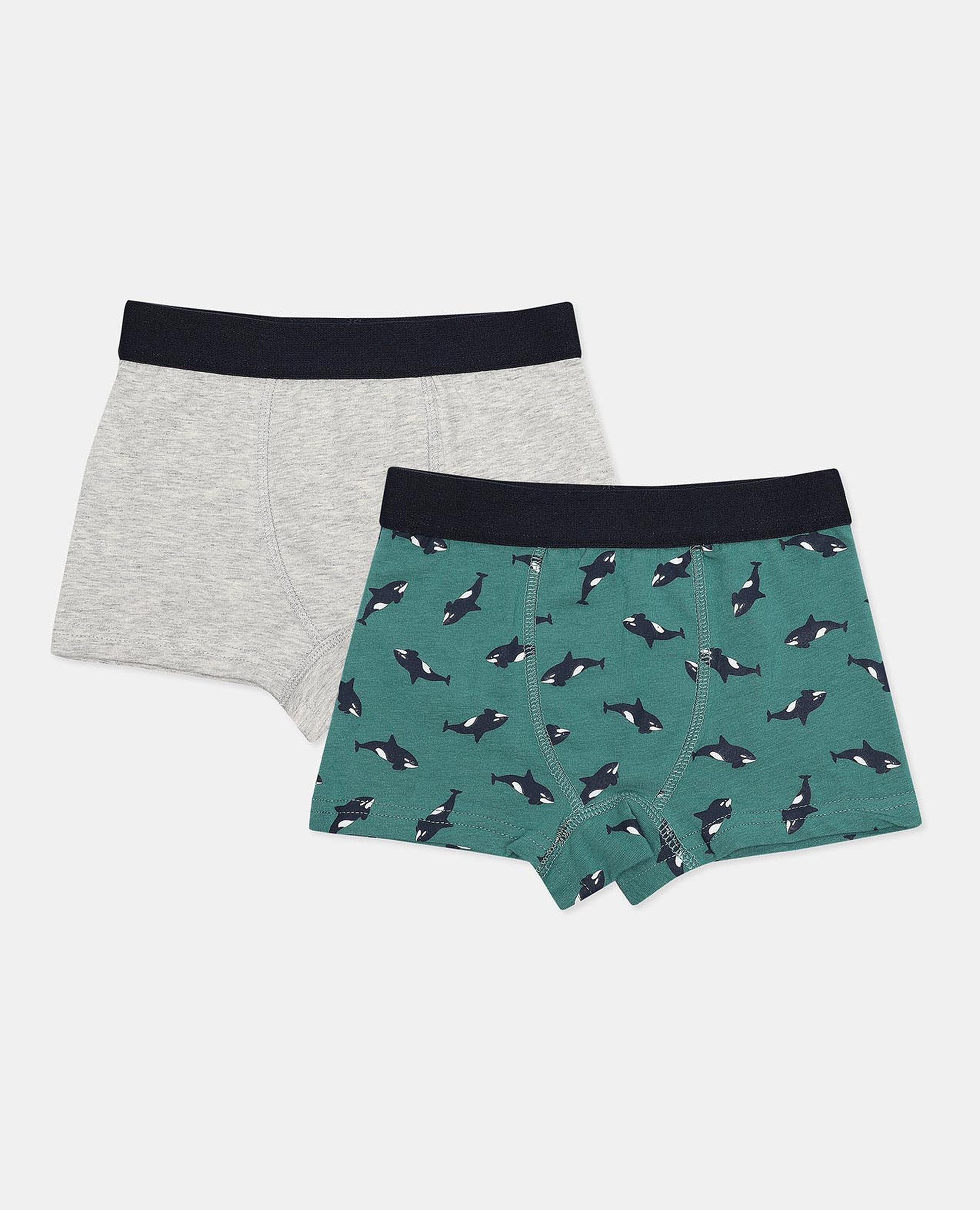 Pack of 2 Trunks