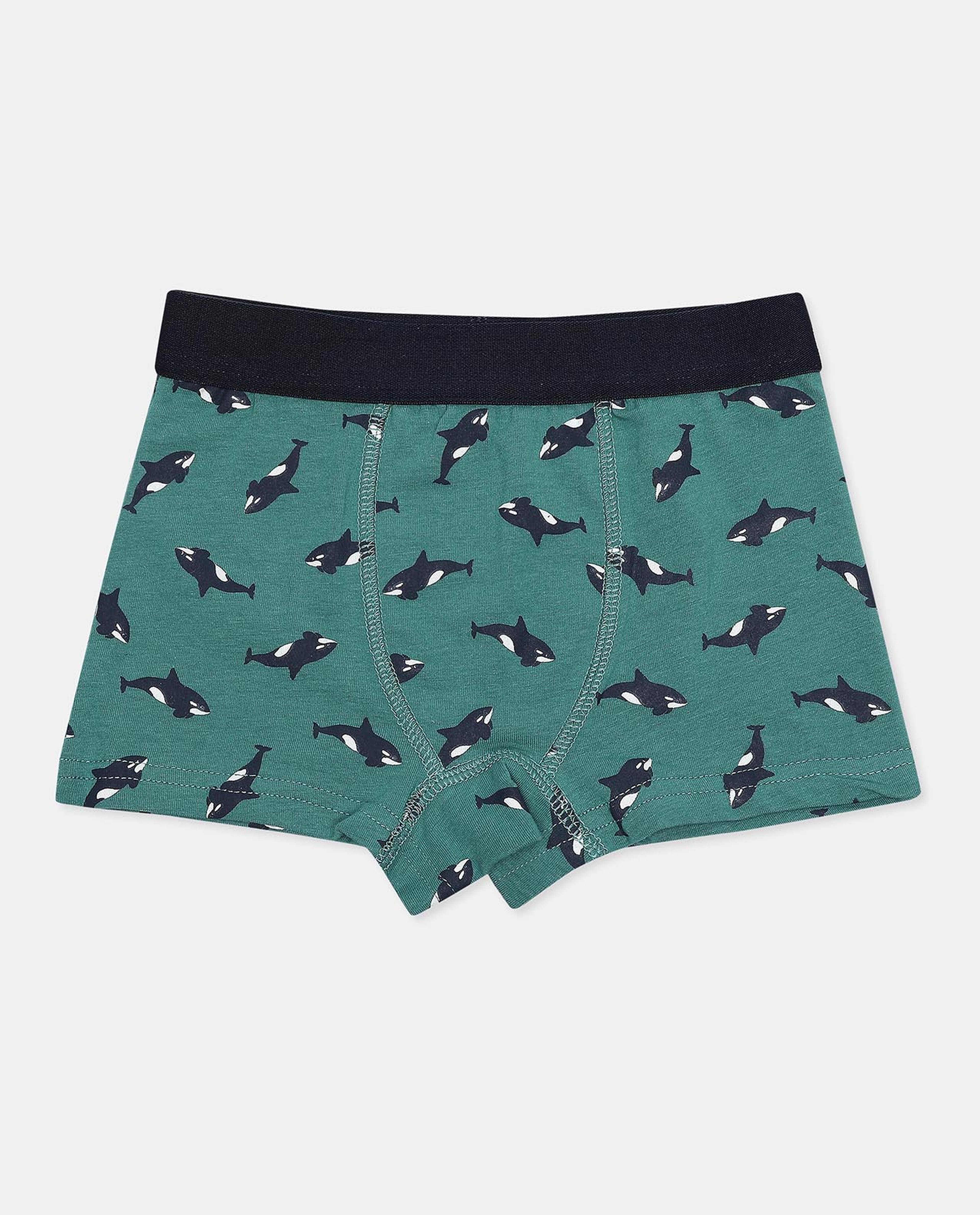 Pack of 2 Trunks