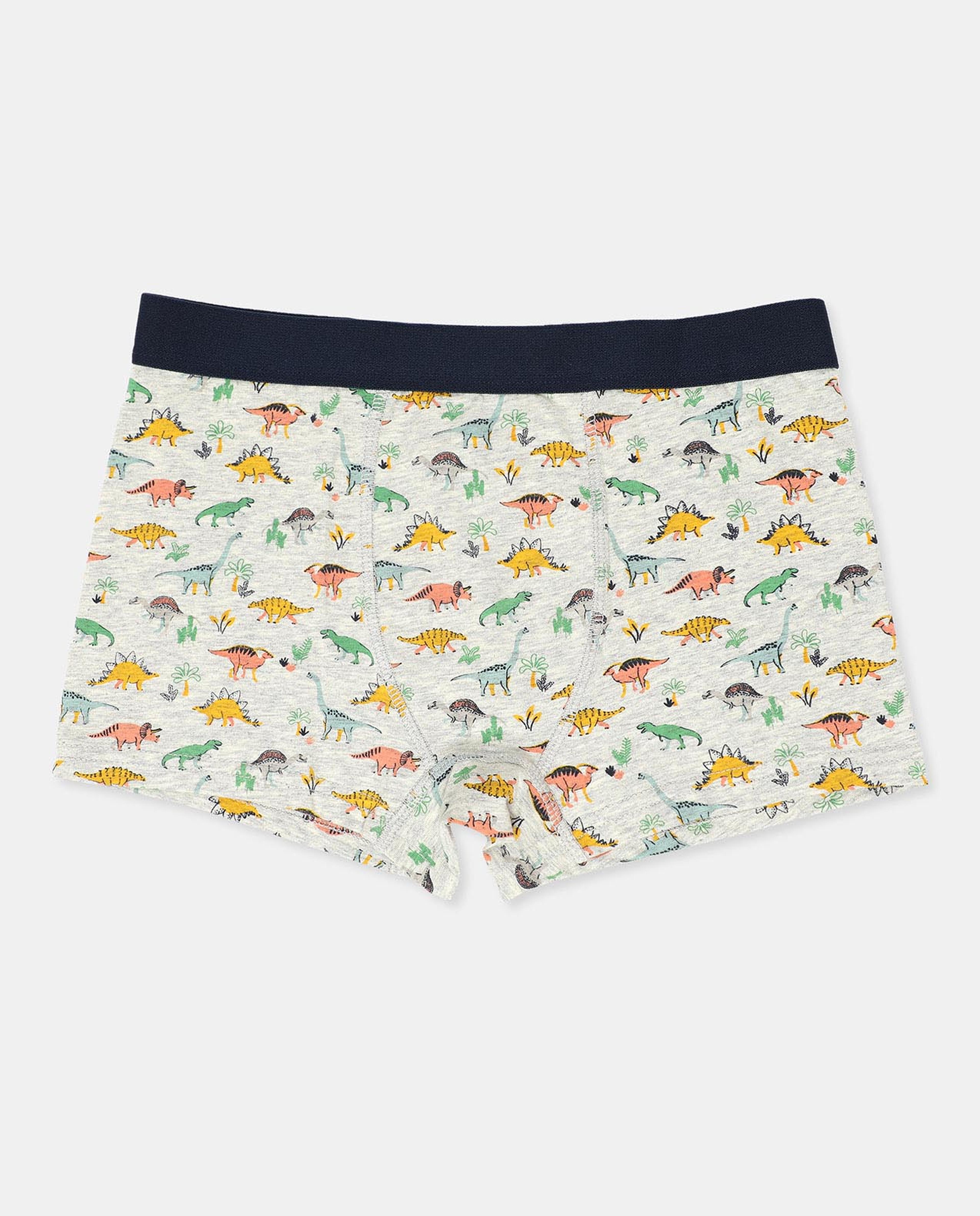 Pack of 2 Trunks