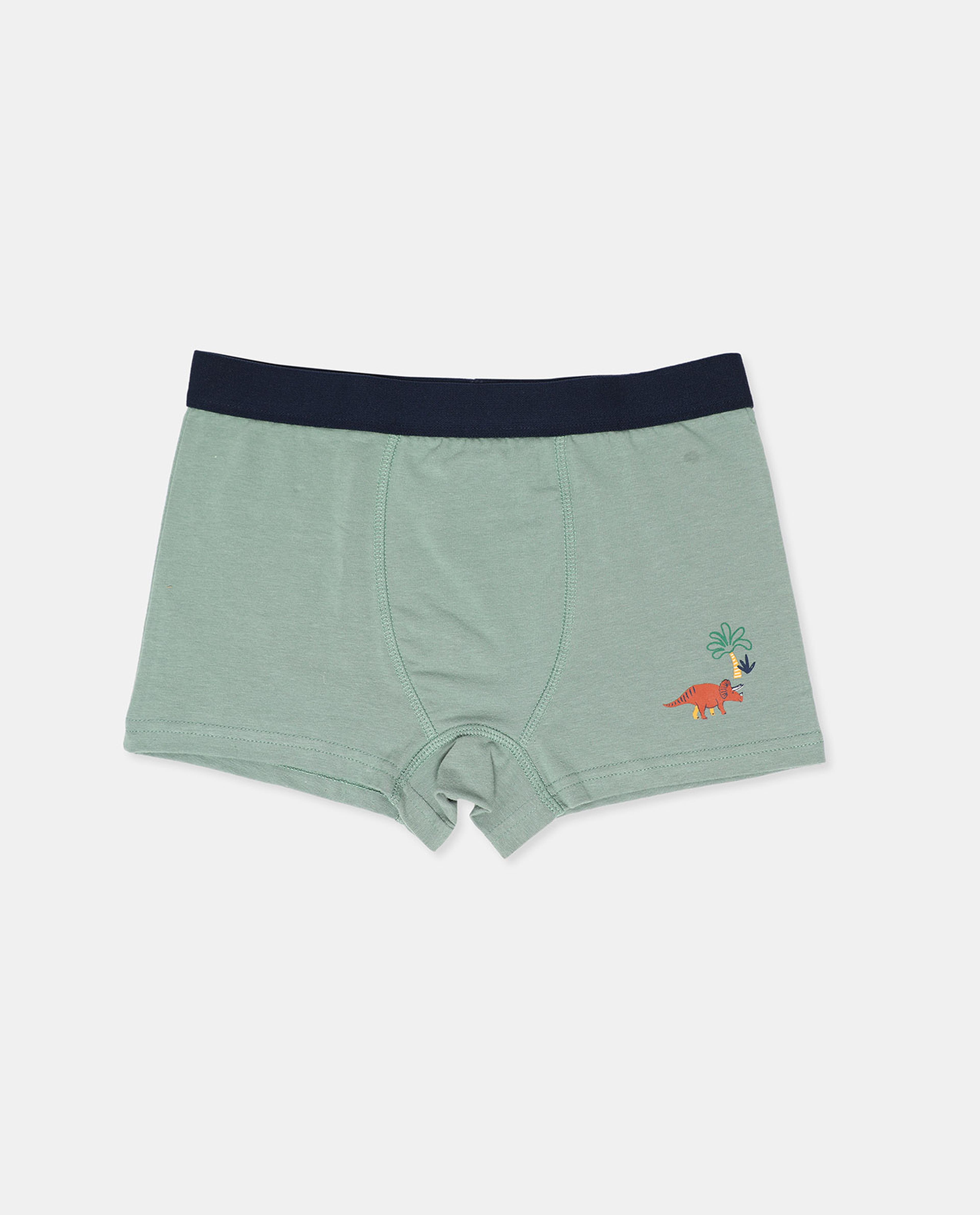 Pack of 2 Trunks