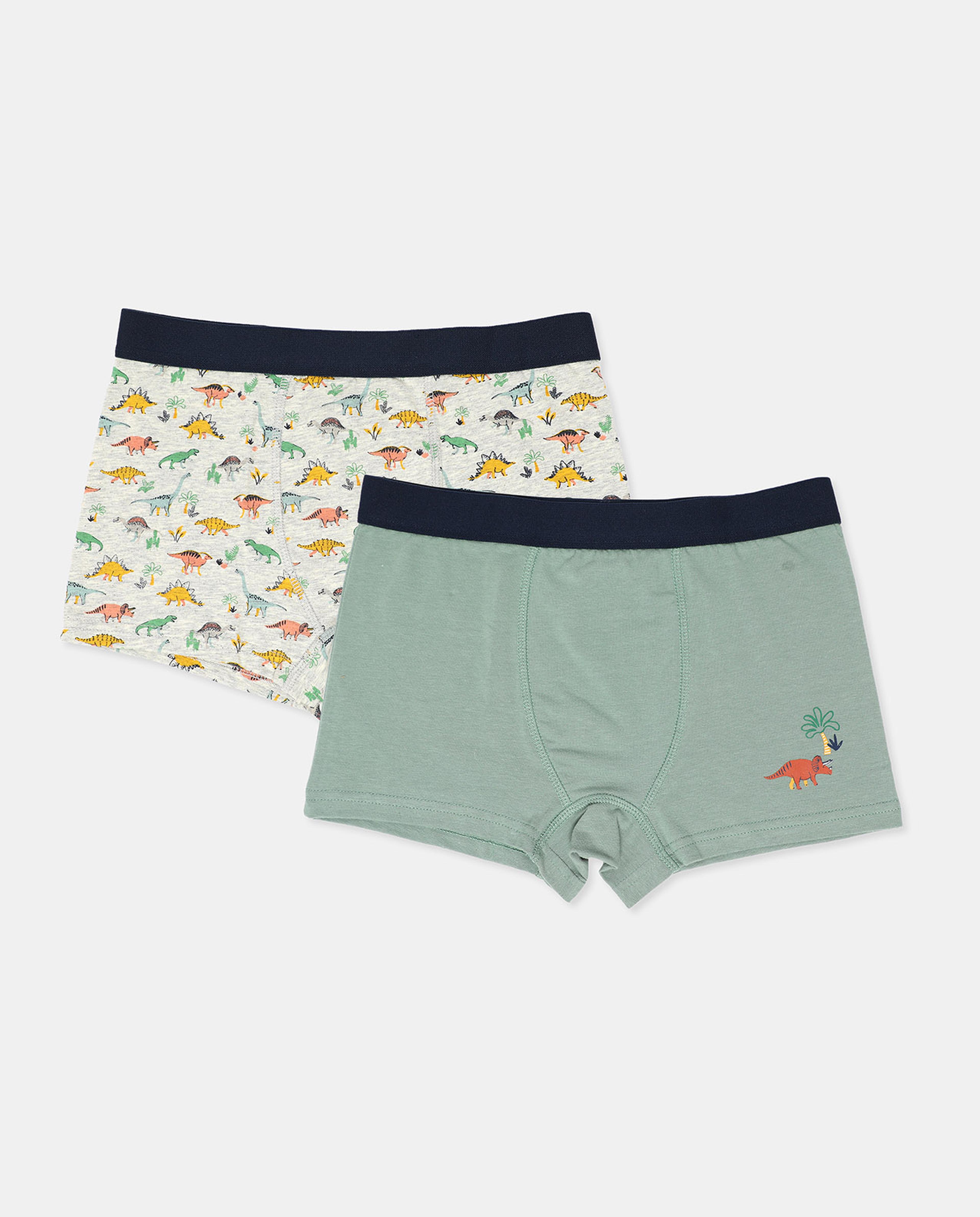 Pack of 2 Trunks