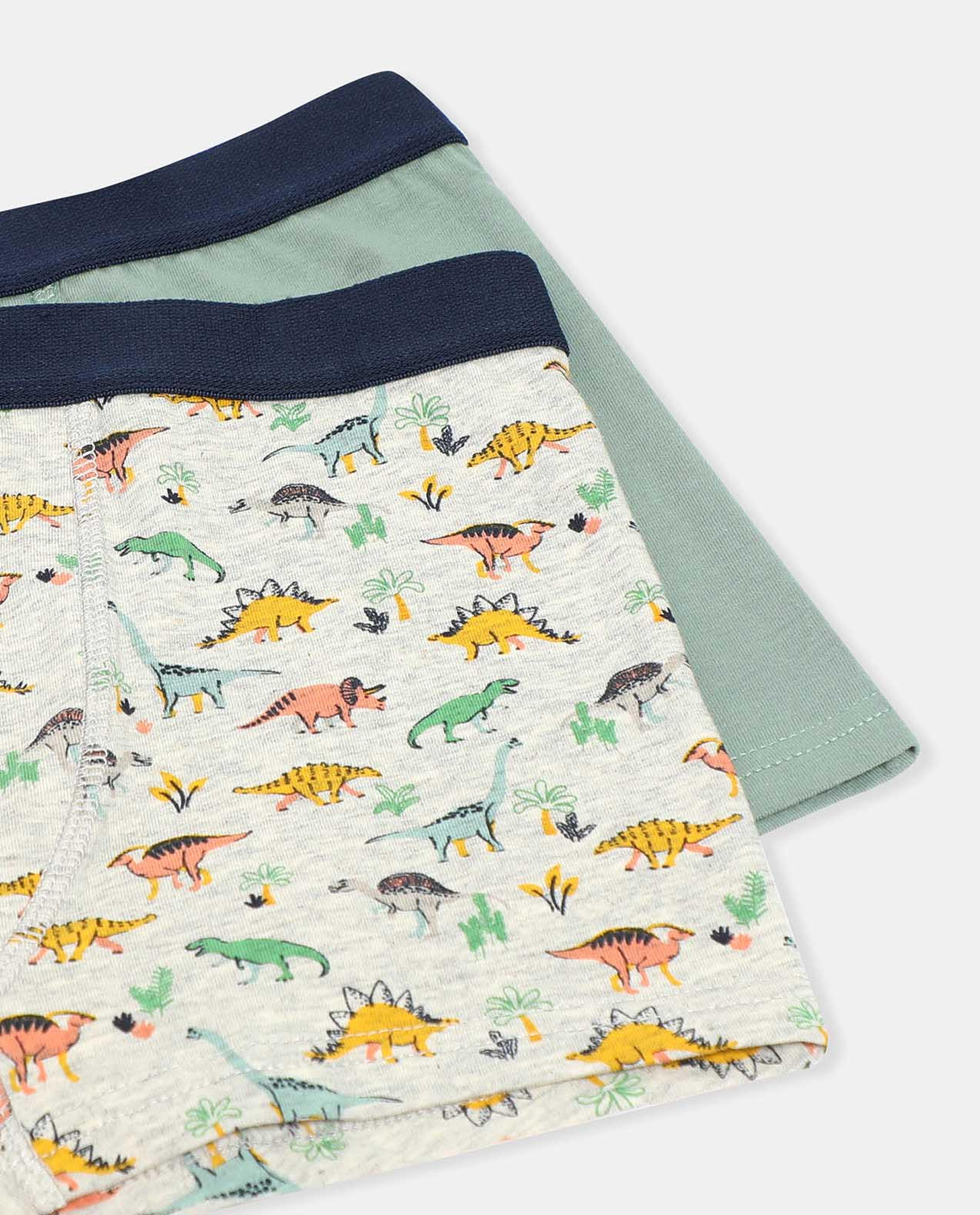 Pack of 2 Trunks