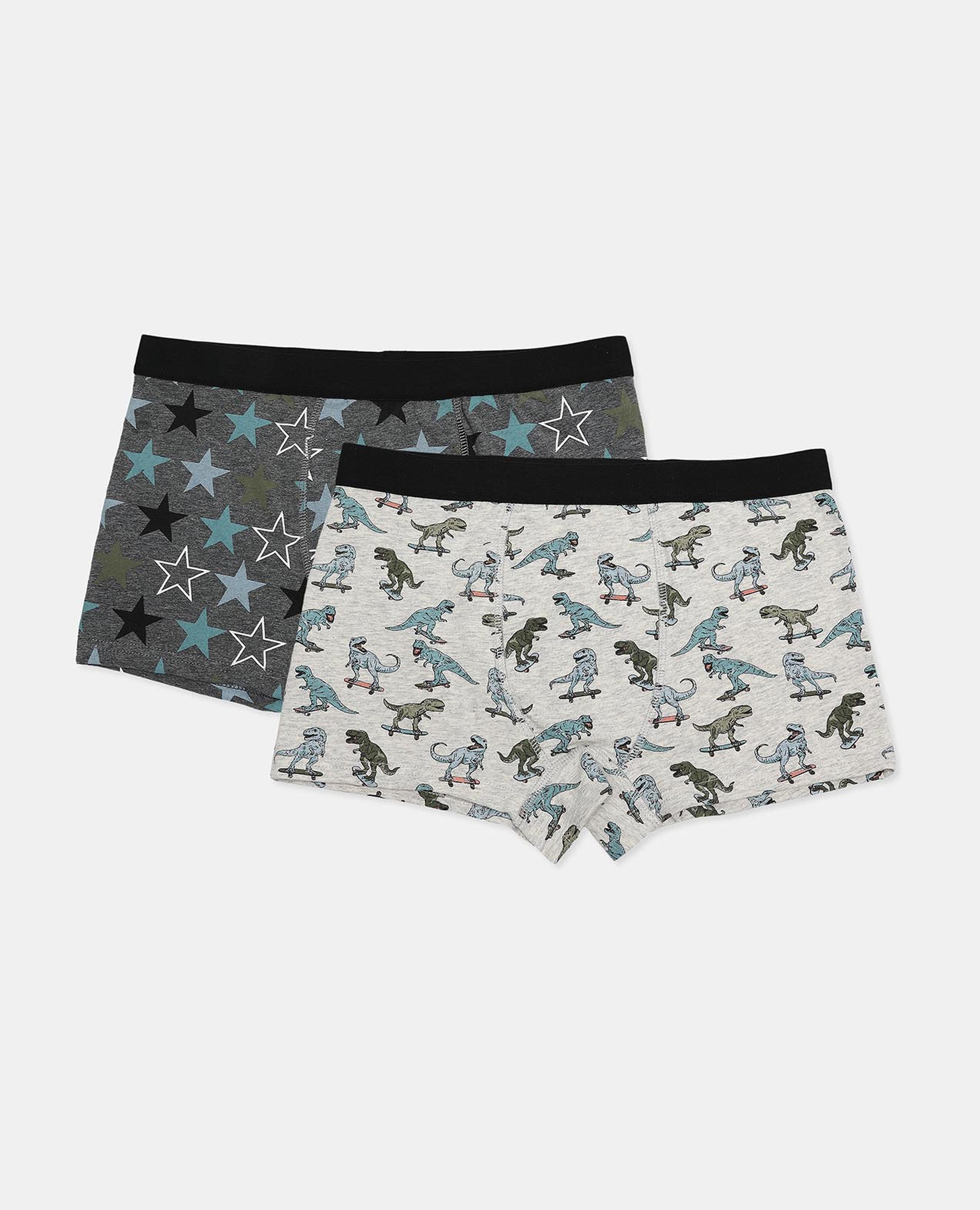 Pack of 2 Trunks