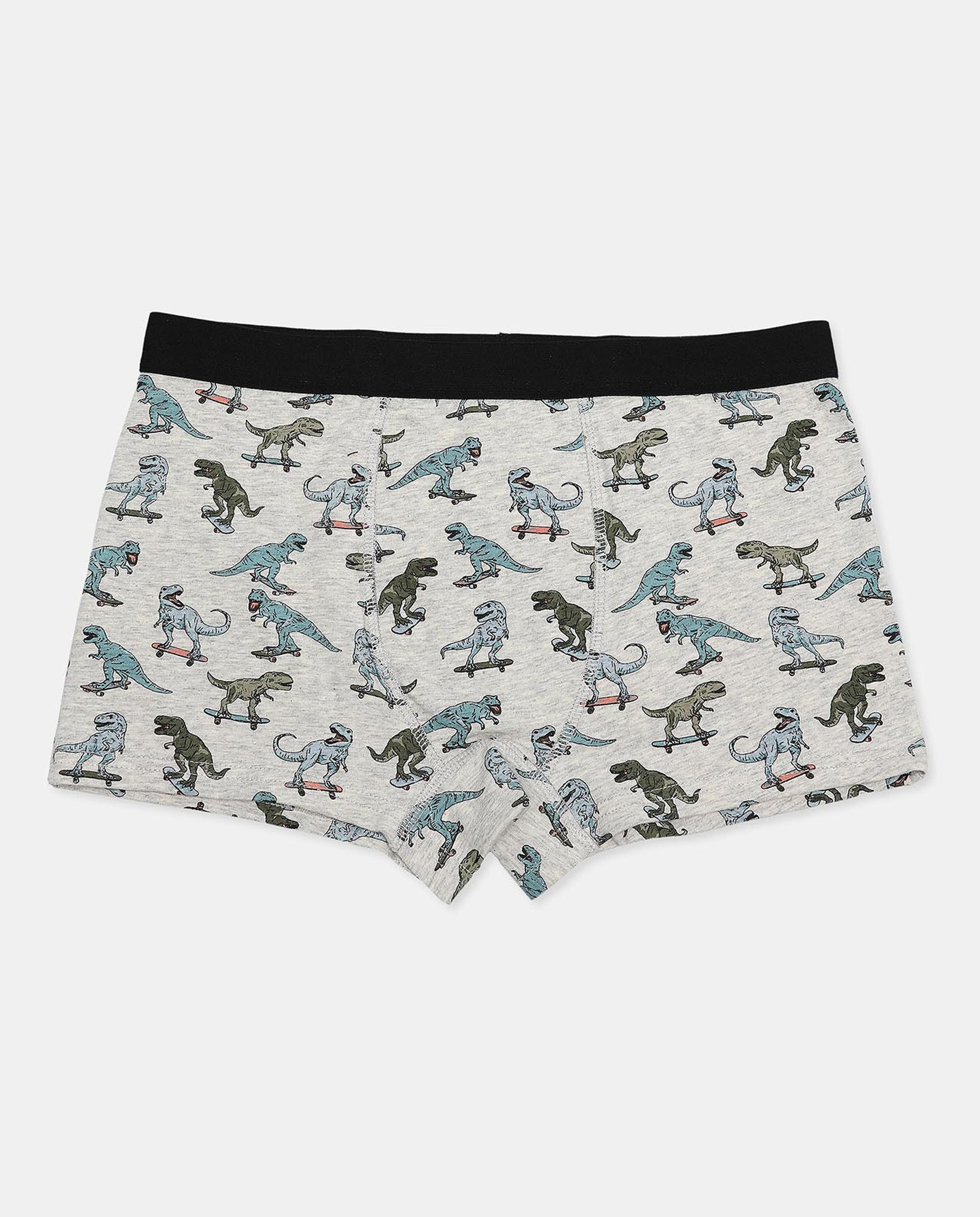 Pack of 2 Trunks