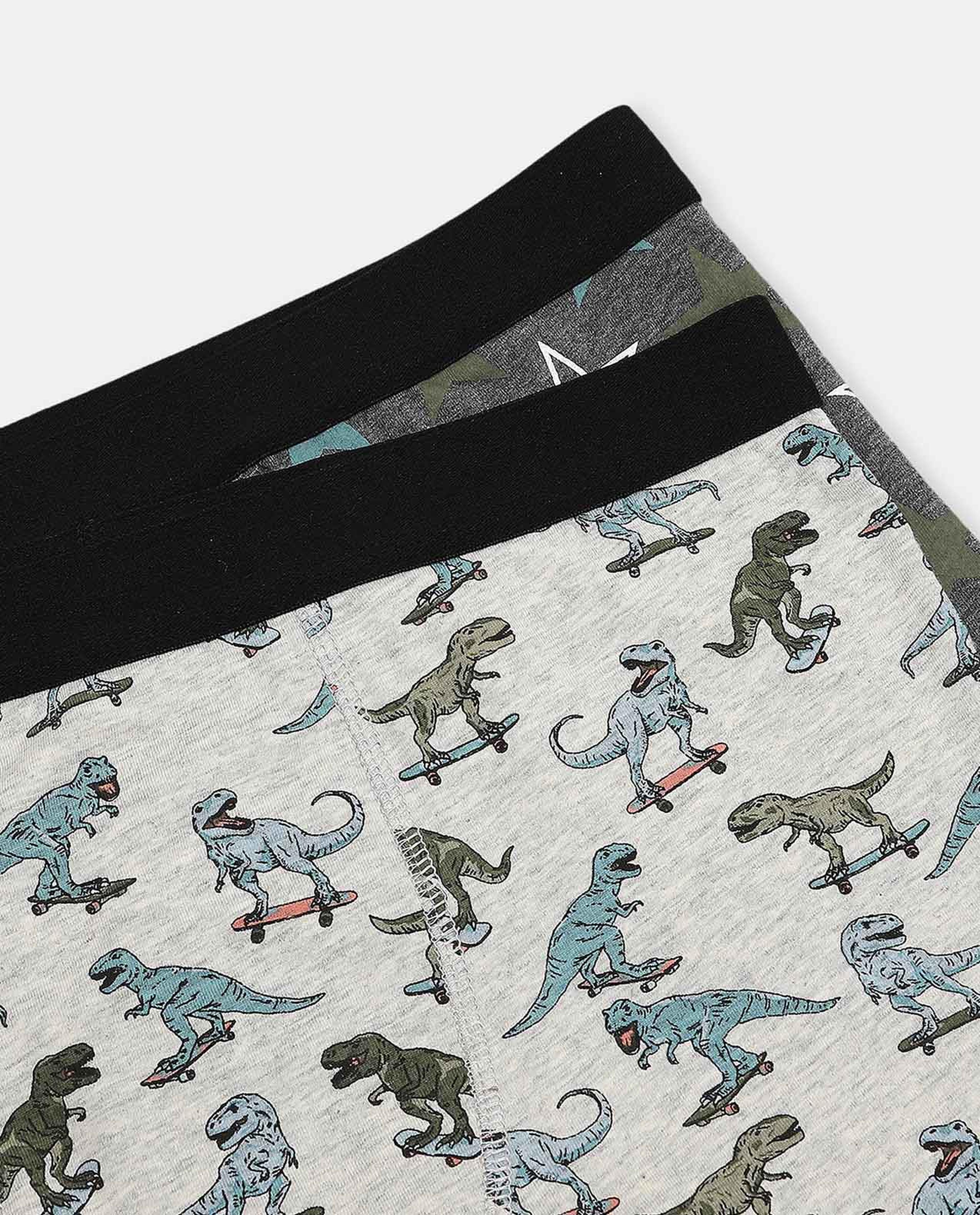 Pack of 2 Trunks