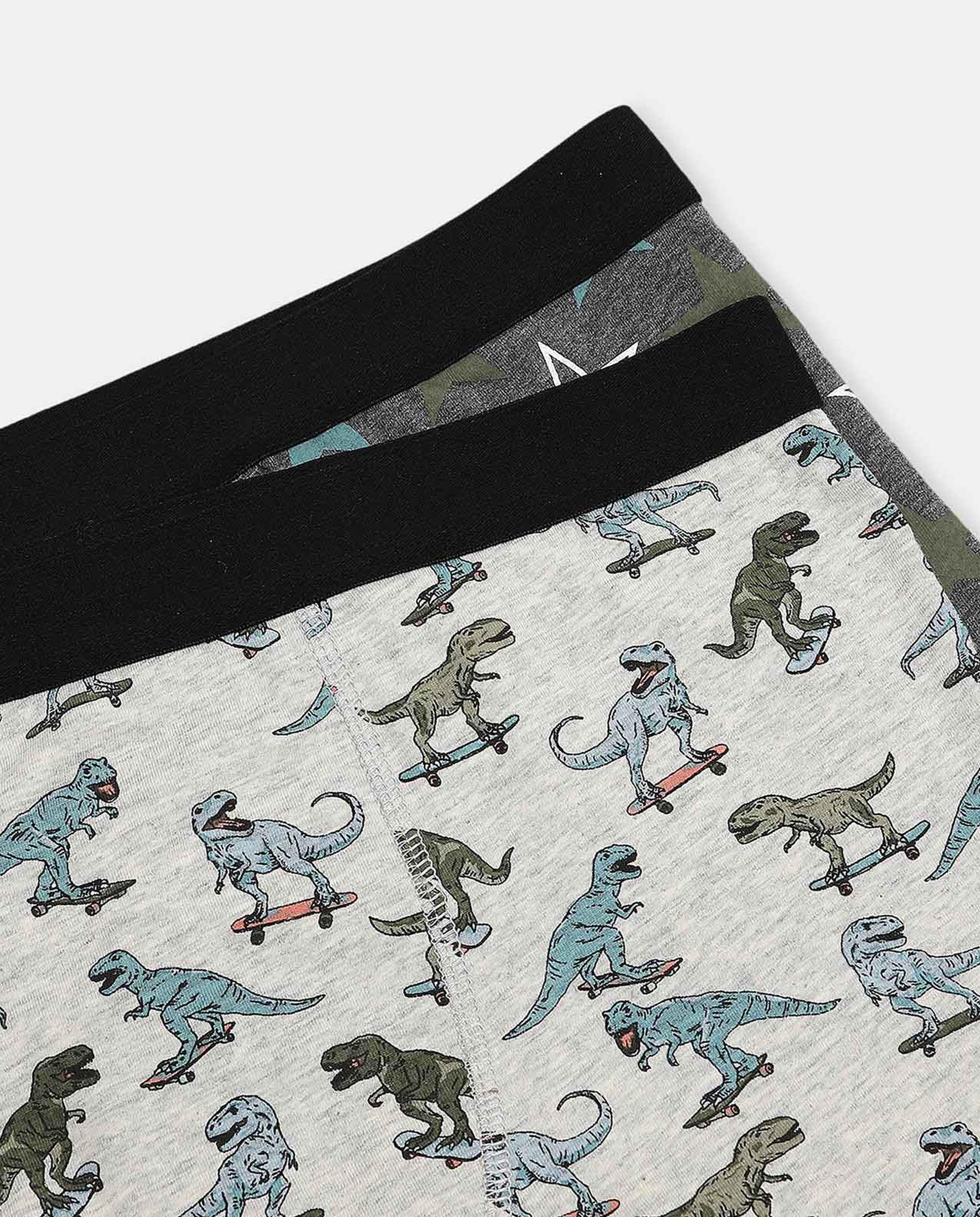 Pack of 2 Trunks