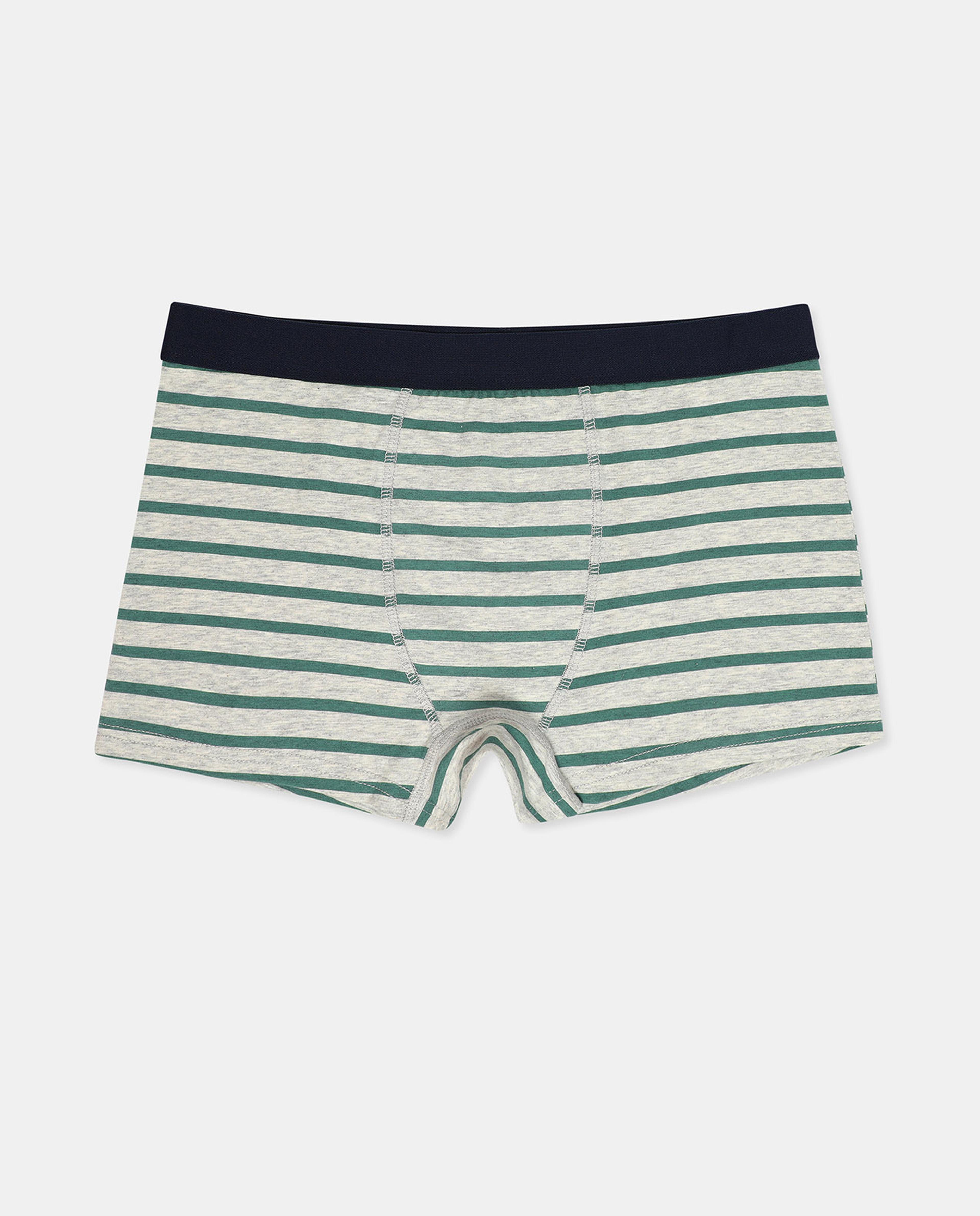 Pack of 2 Trunks