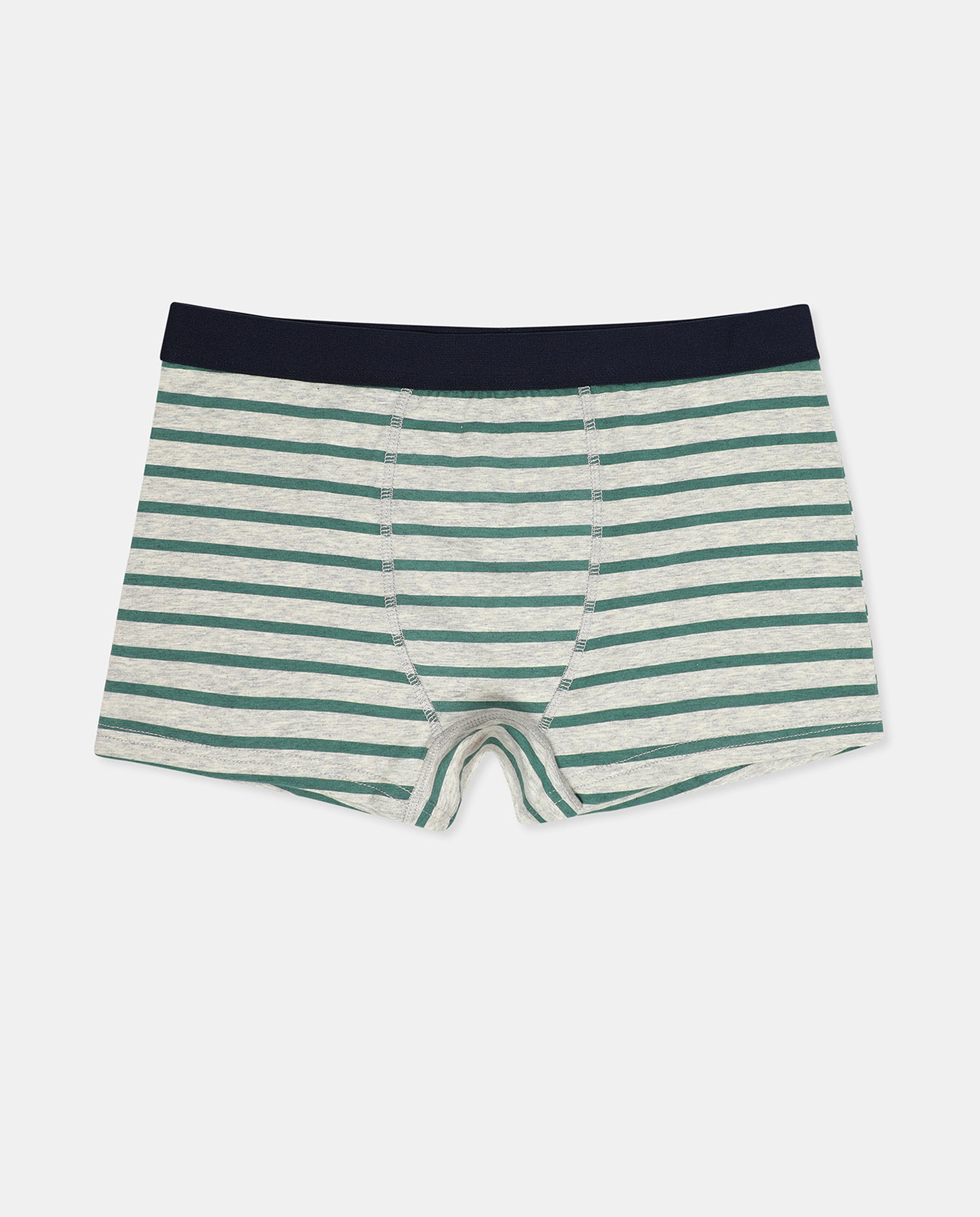 Pack of 2 Trunks