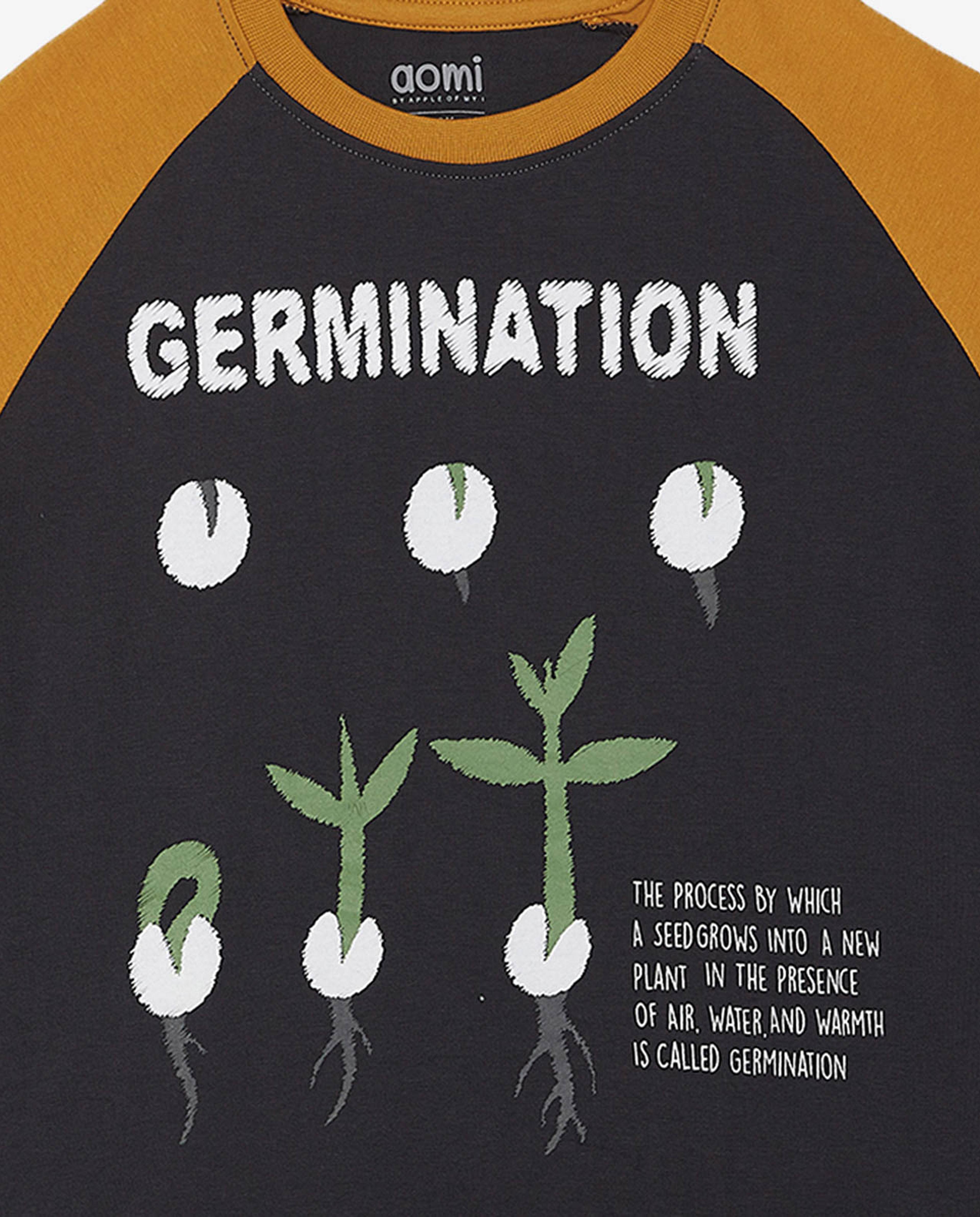 Graphic T Shirt