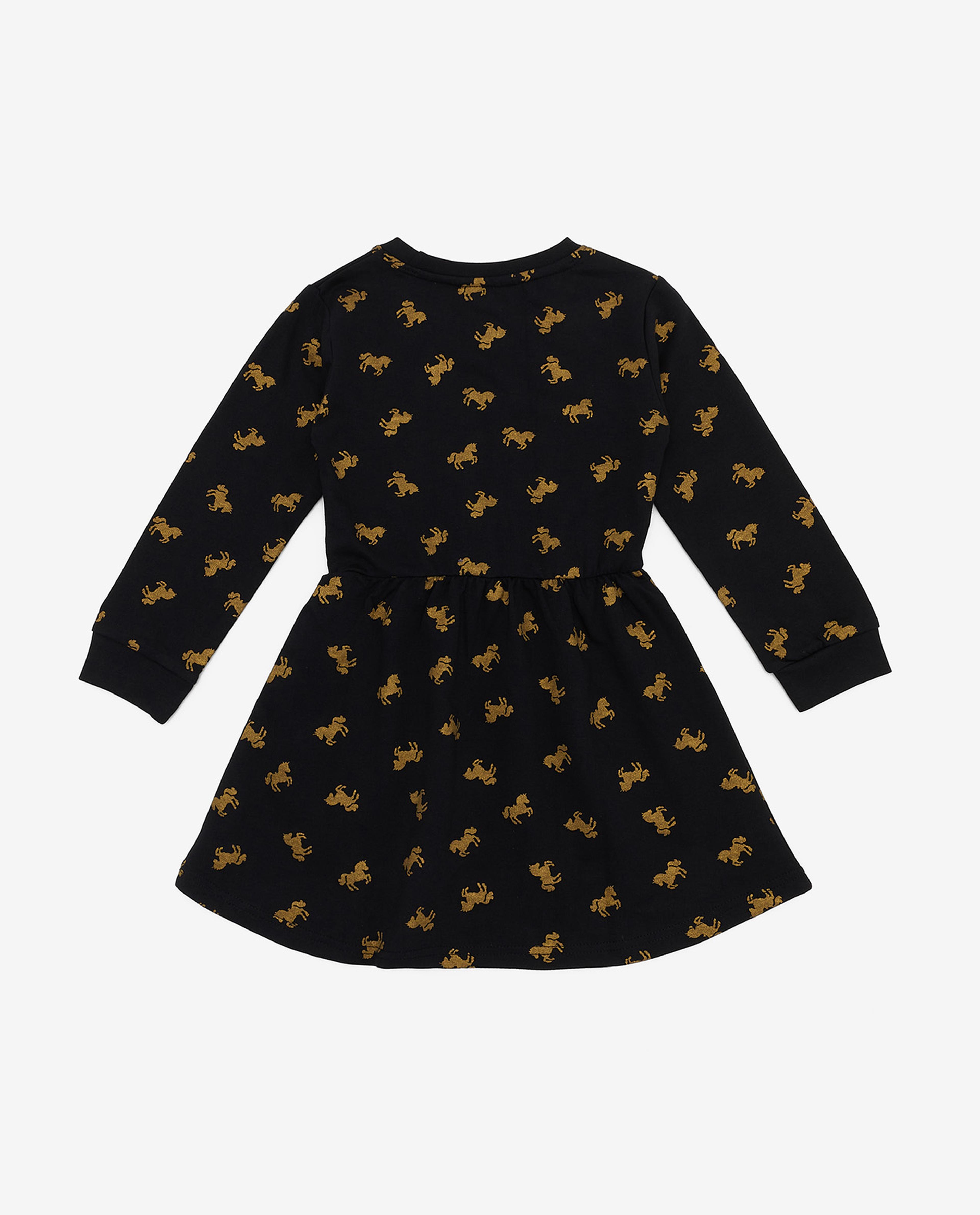 Printed Fit and Flare Dress with Long Sleeves