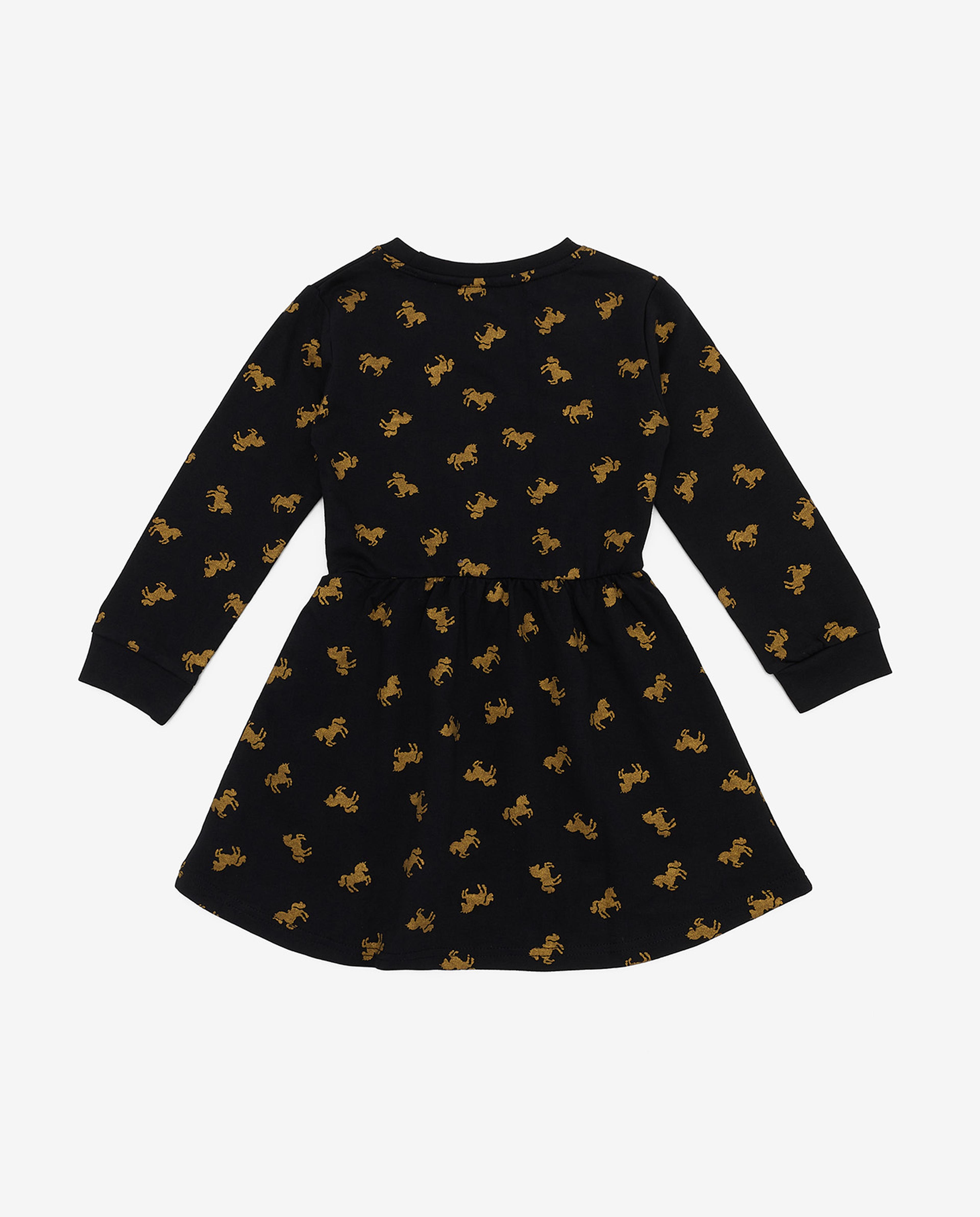 Printed Fit and Flare Dress with Long Sleeves