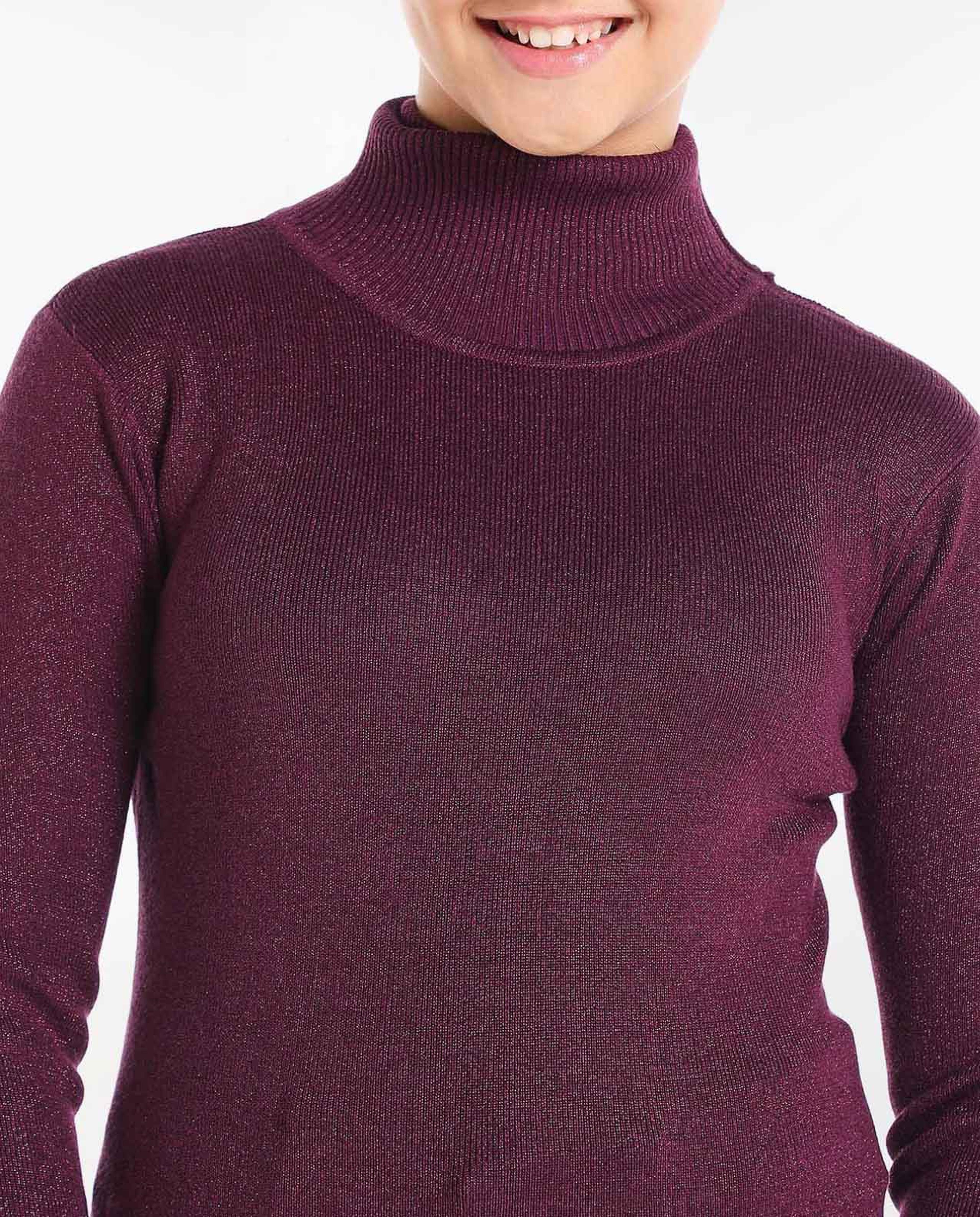 Solid Sweatshirt with Turtle Neck and Long Sleeves