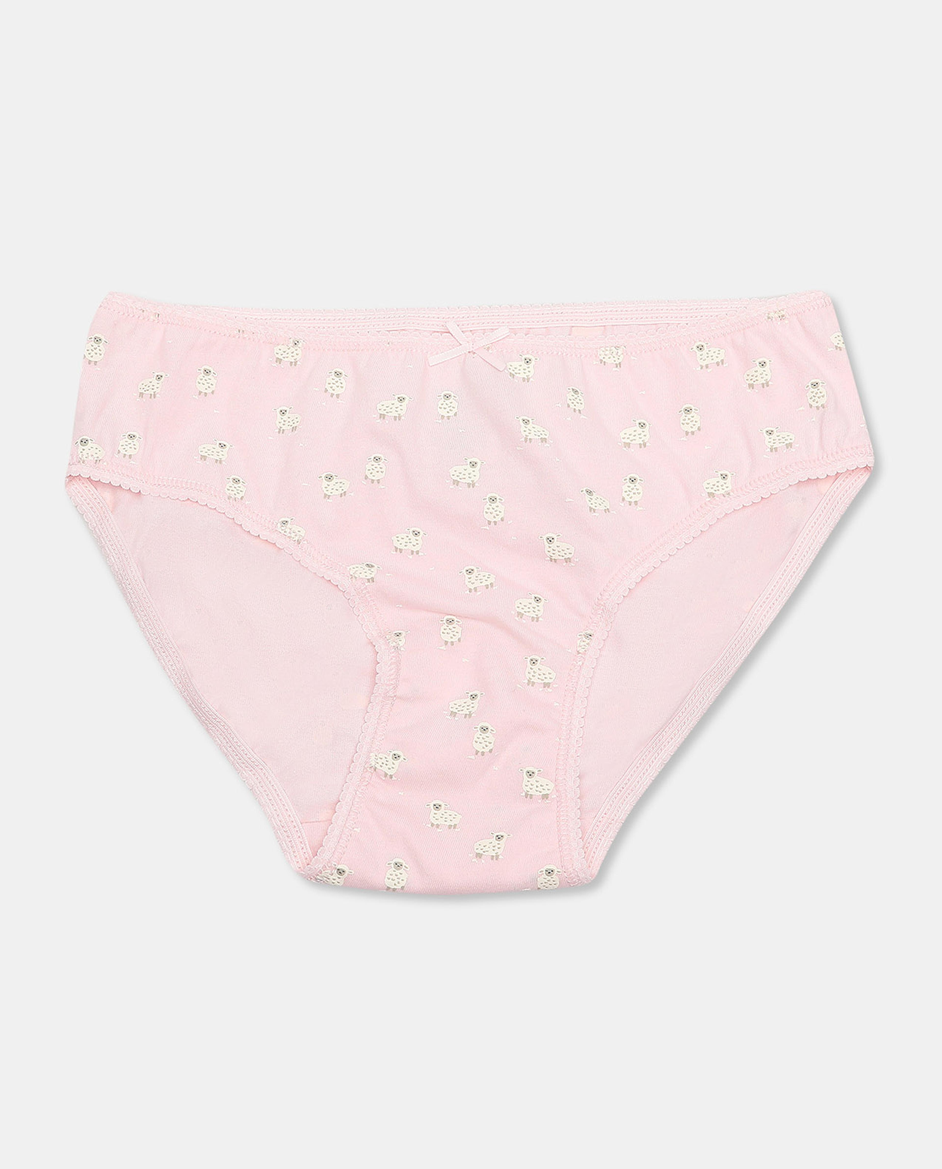 Pack of 5 Hipster Briefs