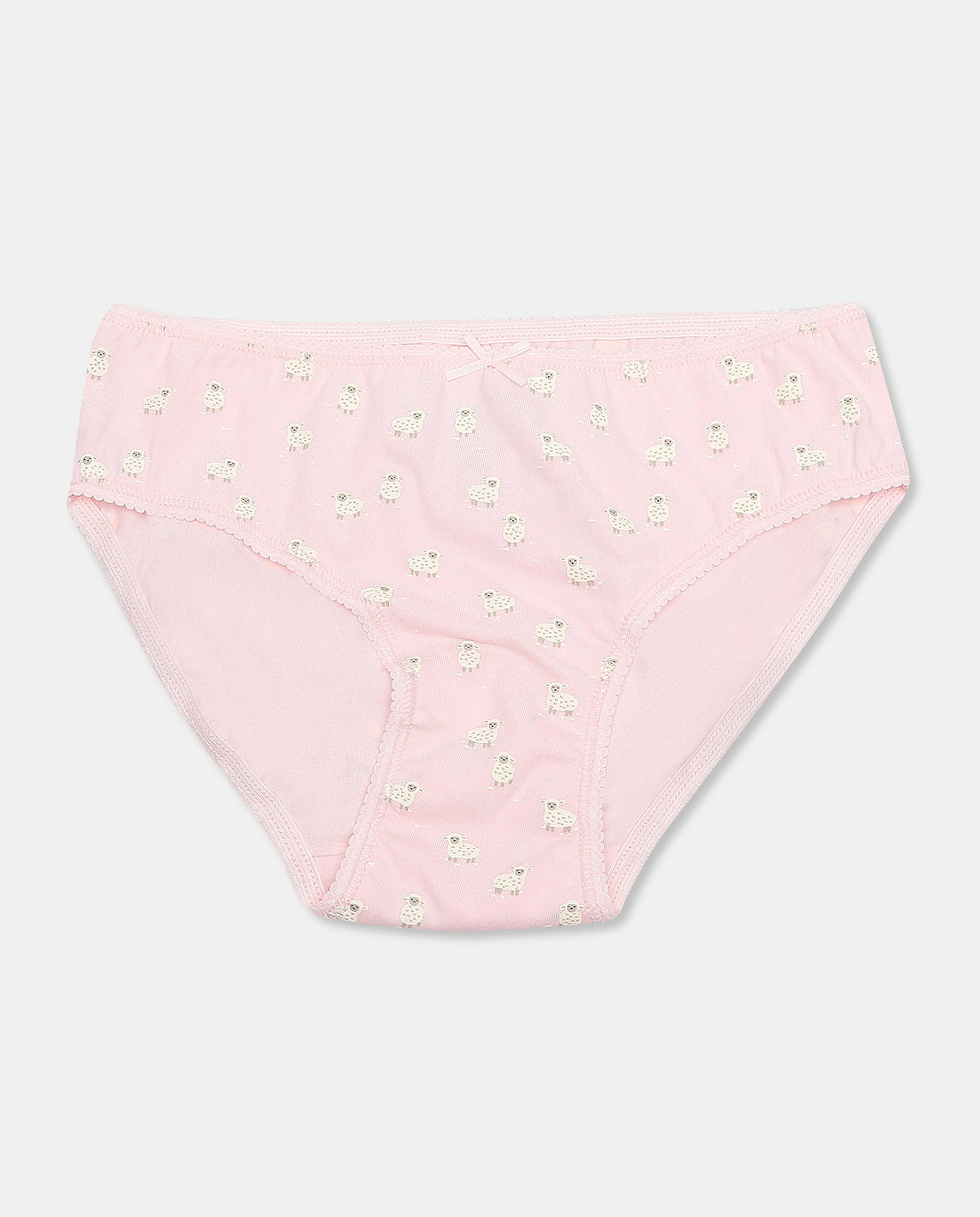 Pack of 5 Hipster Briefs