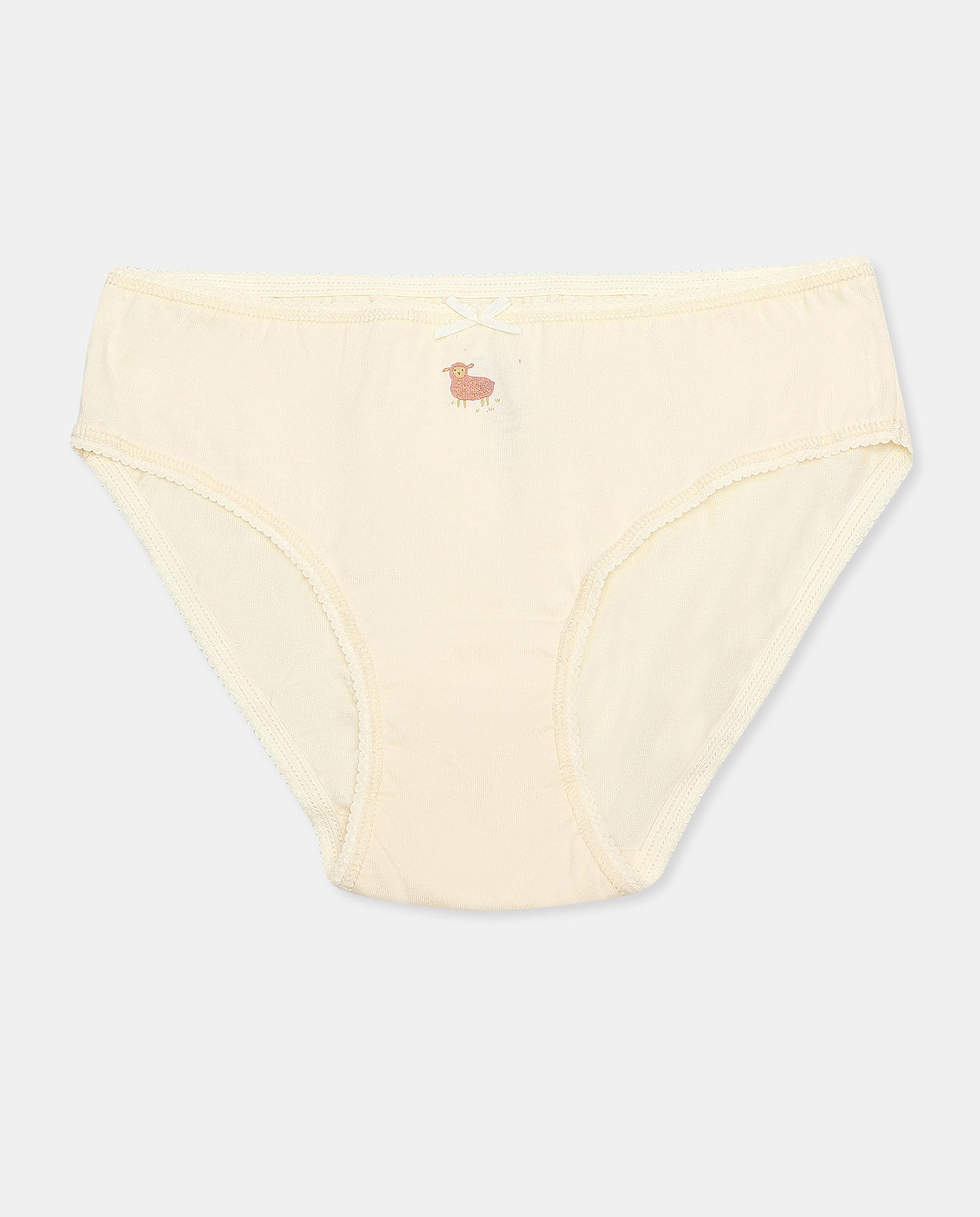 Pack of 5 Hipster Briefs