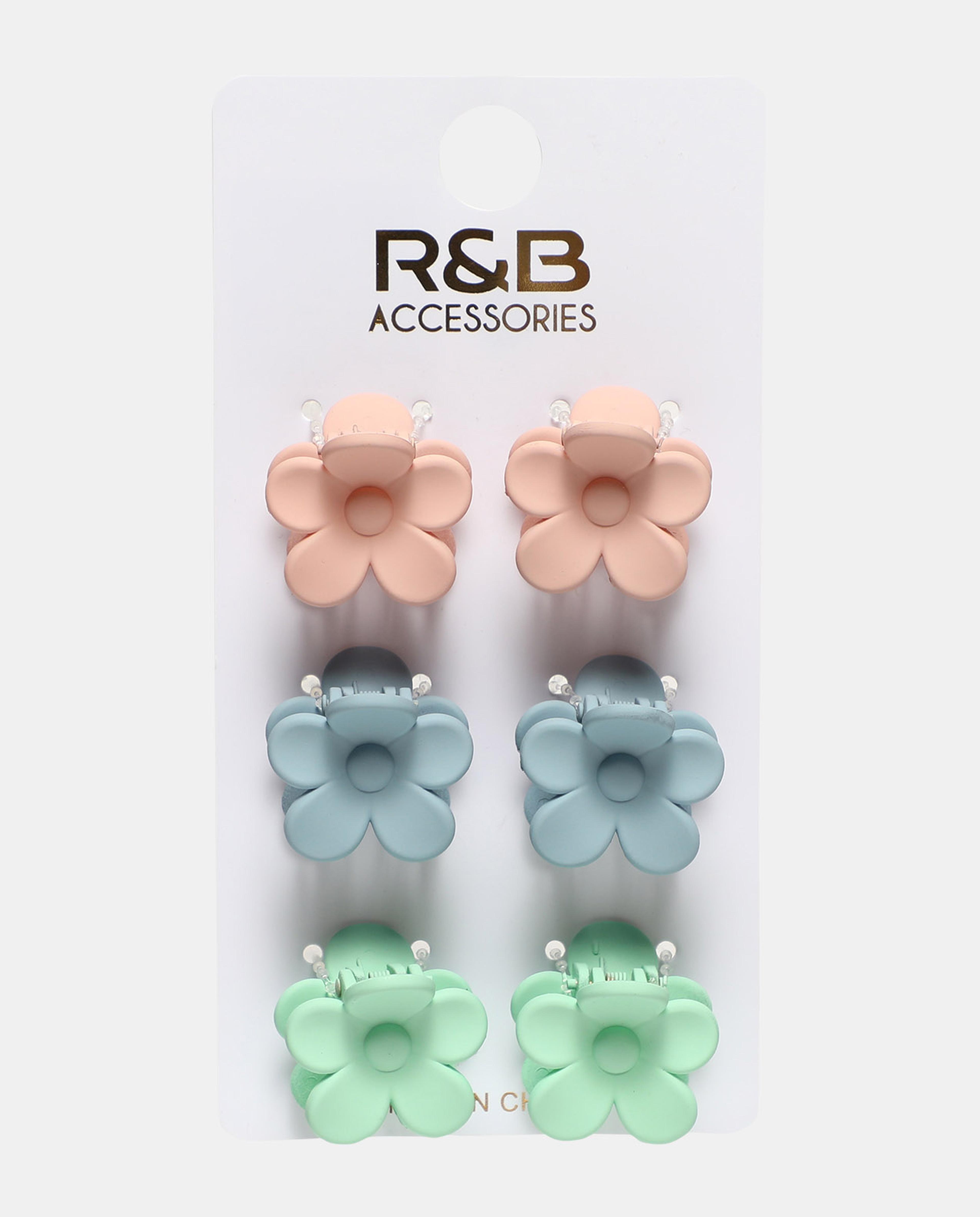 Pack of 6 Claw Clips