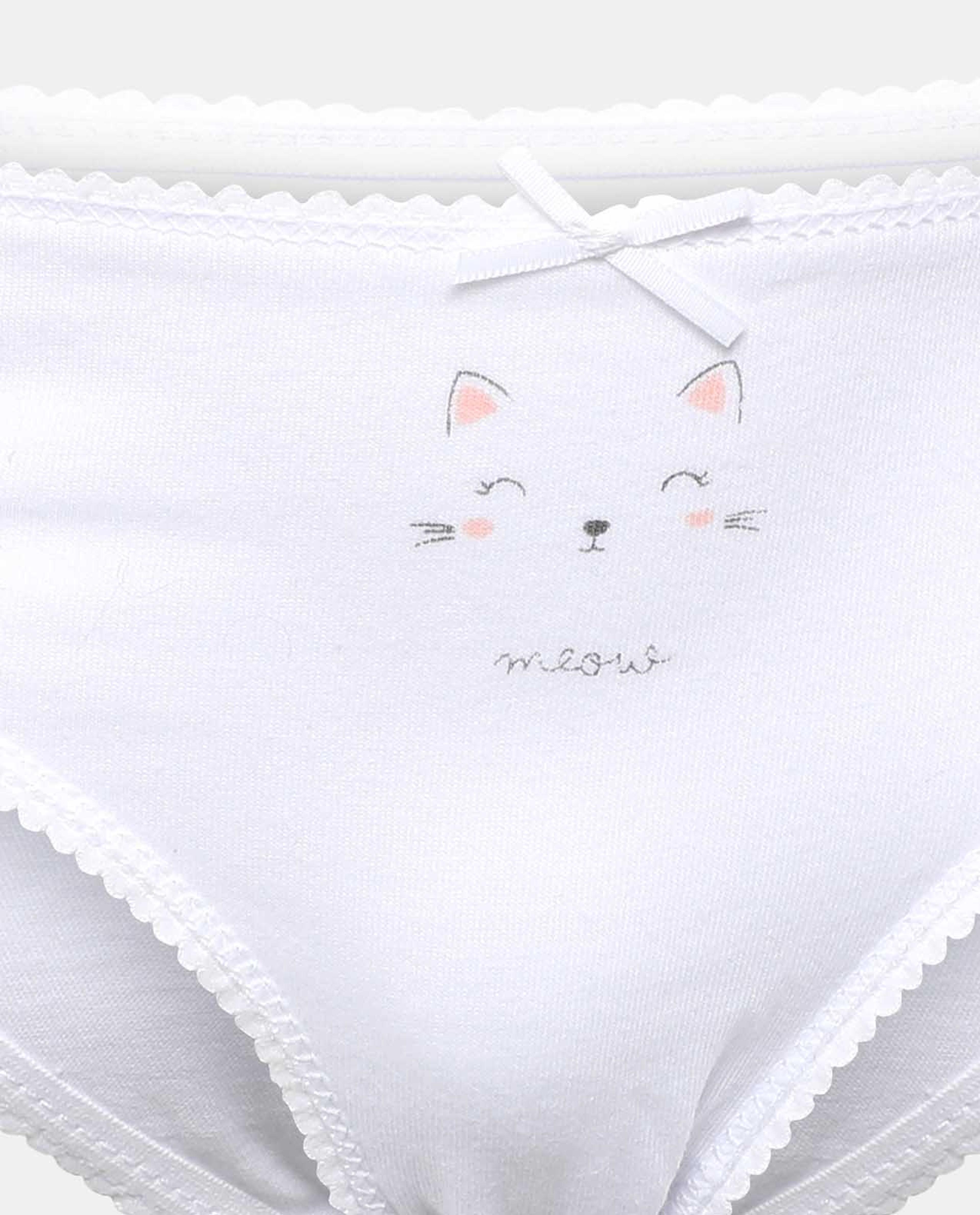 Multi Pack of 5 Brief