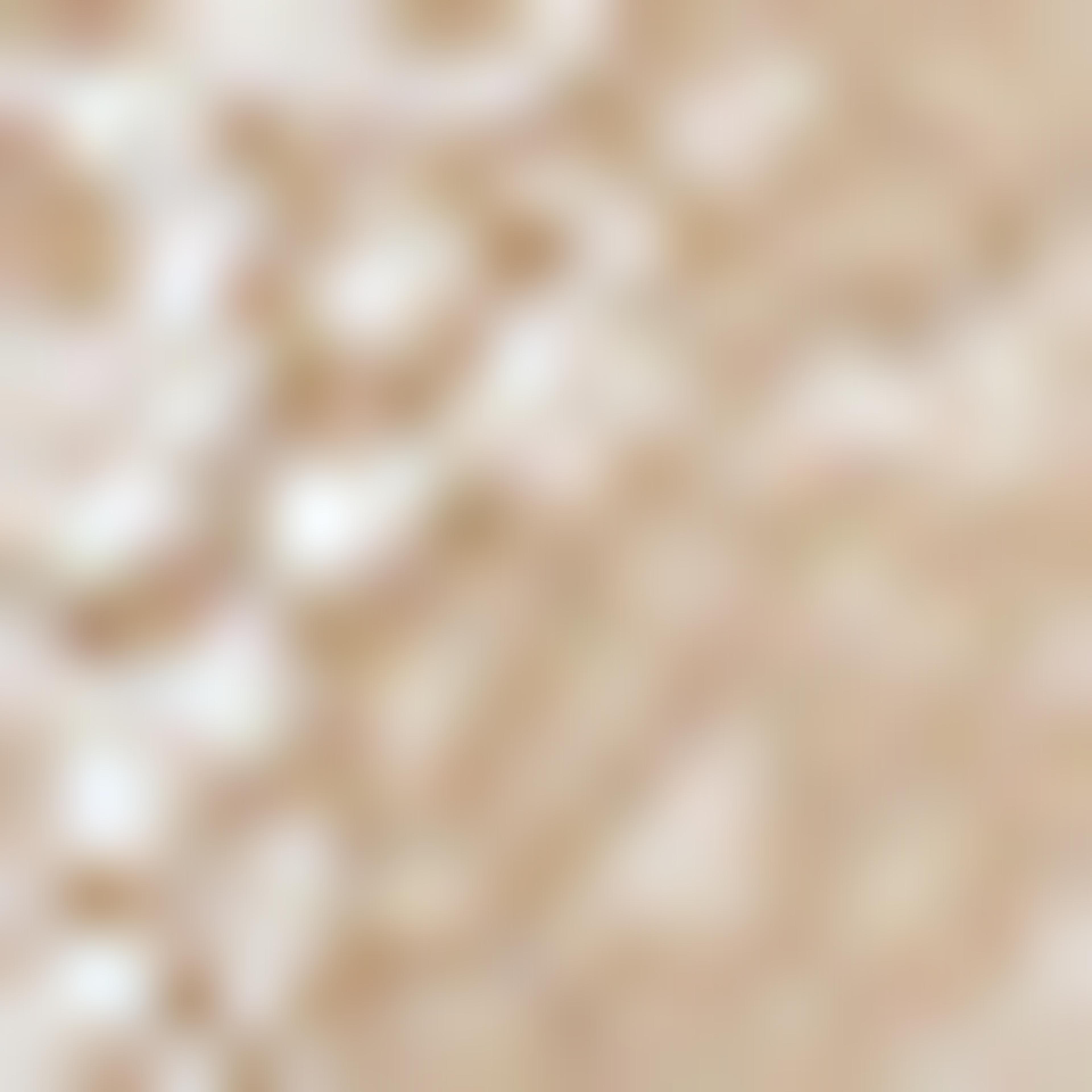 R&B Nude Bikini Full Lace Brief