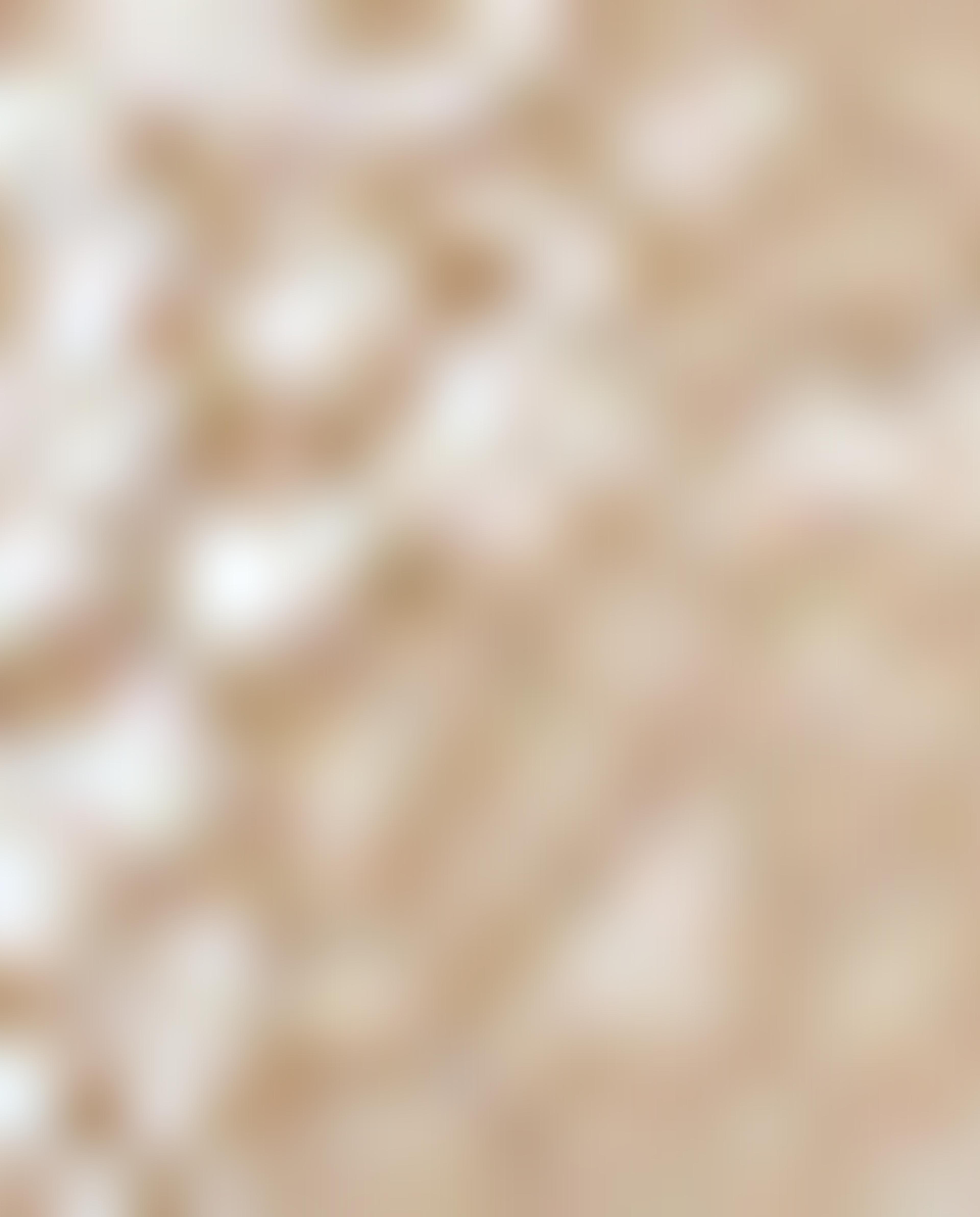 R&B Nude Bikini Full Lace Brief