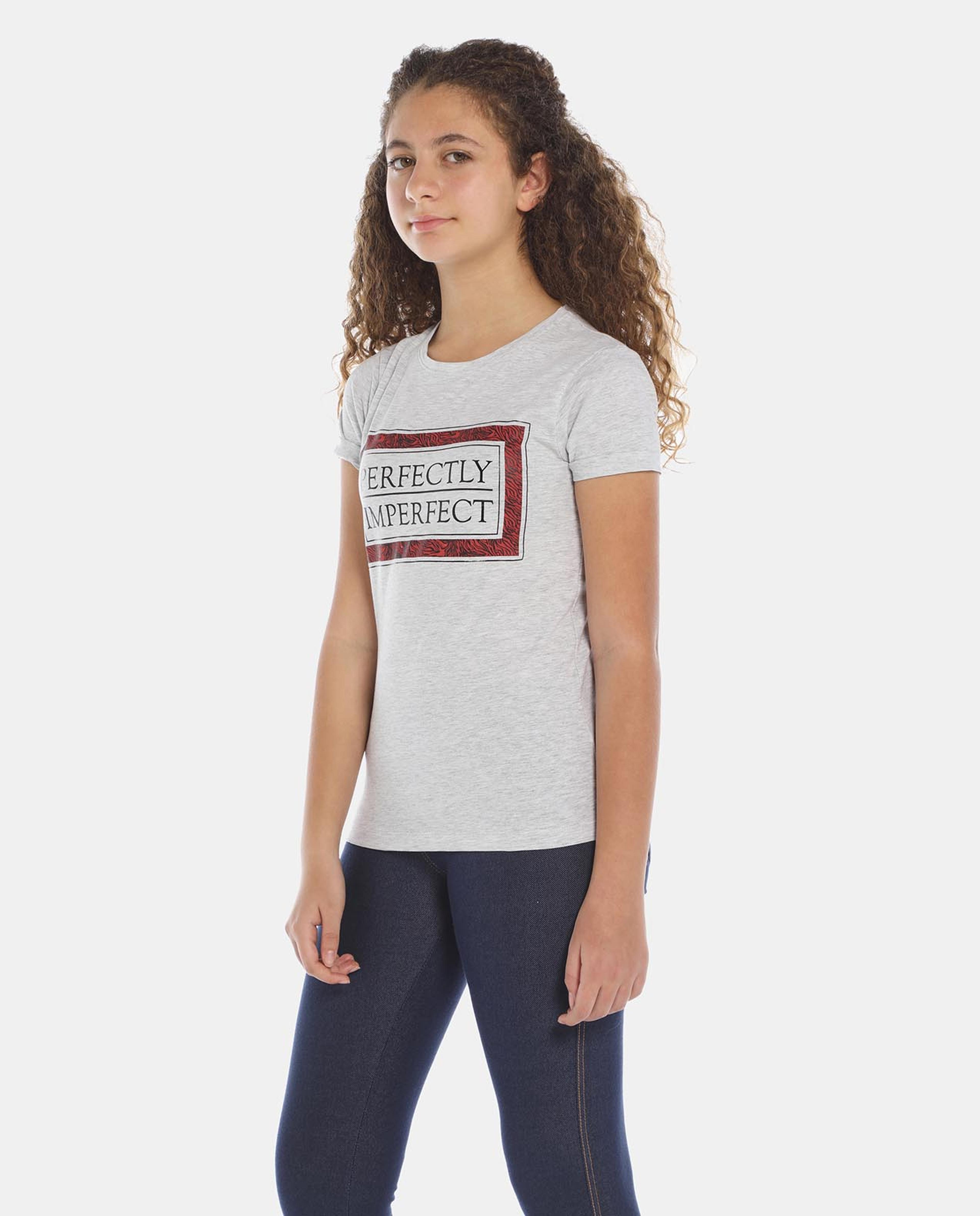 Grey Printed Regular Fit T-Shirt
