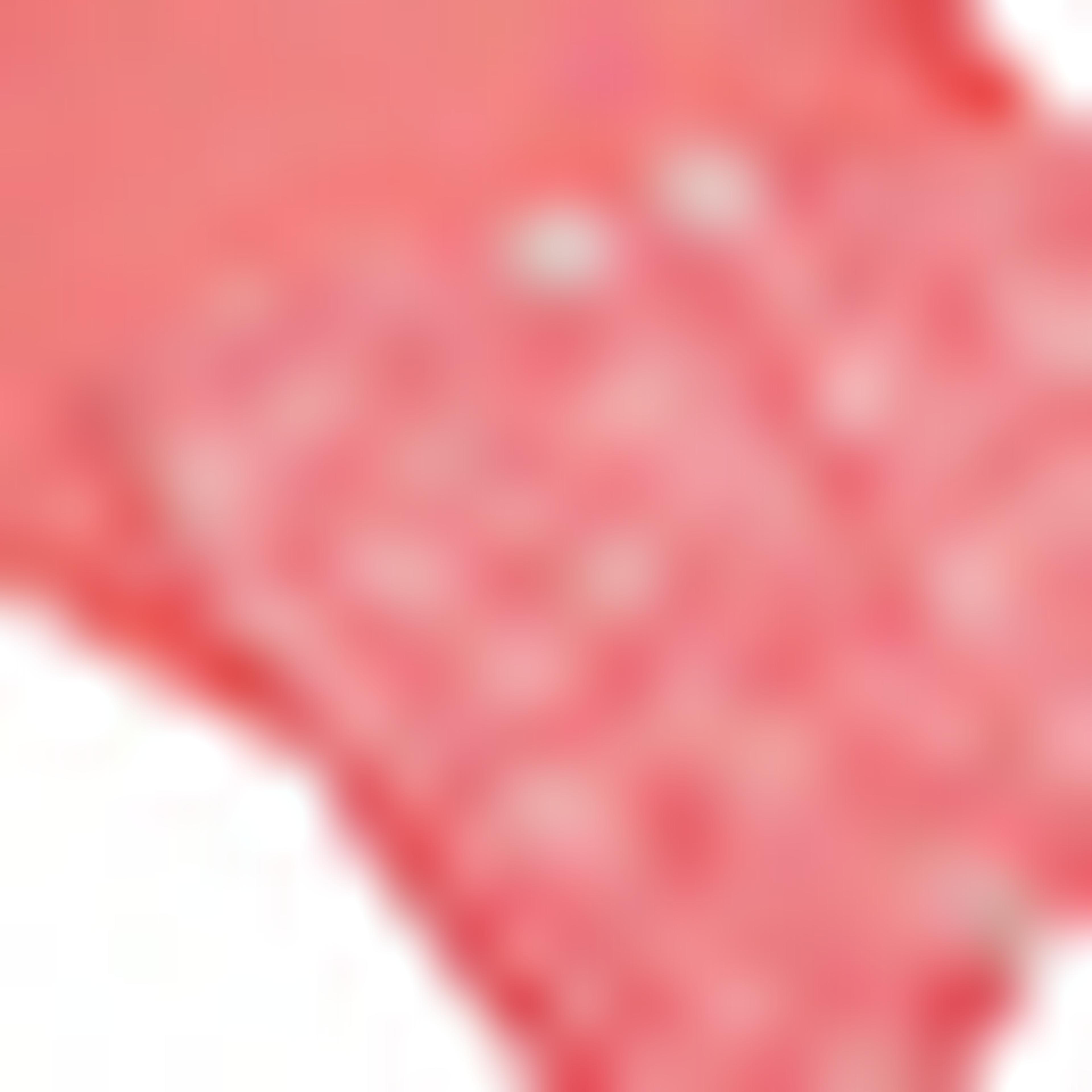Solid Top and Printed Dungaree Dress Set