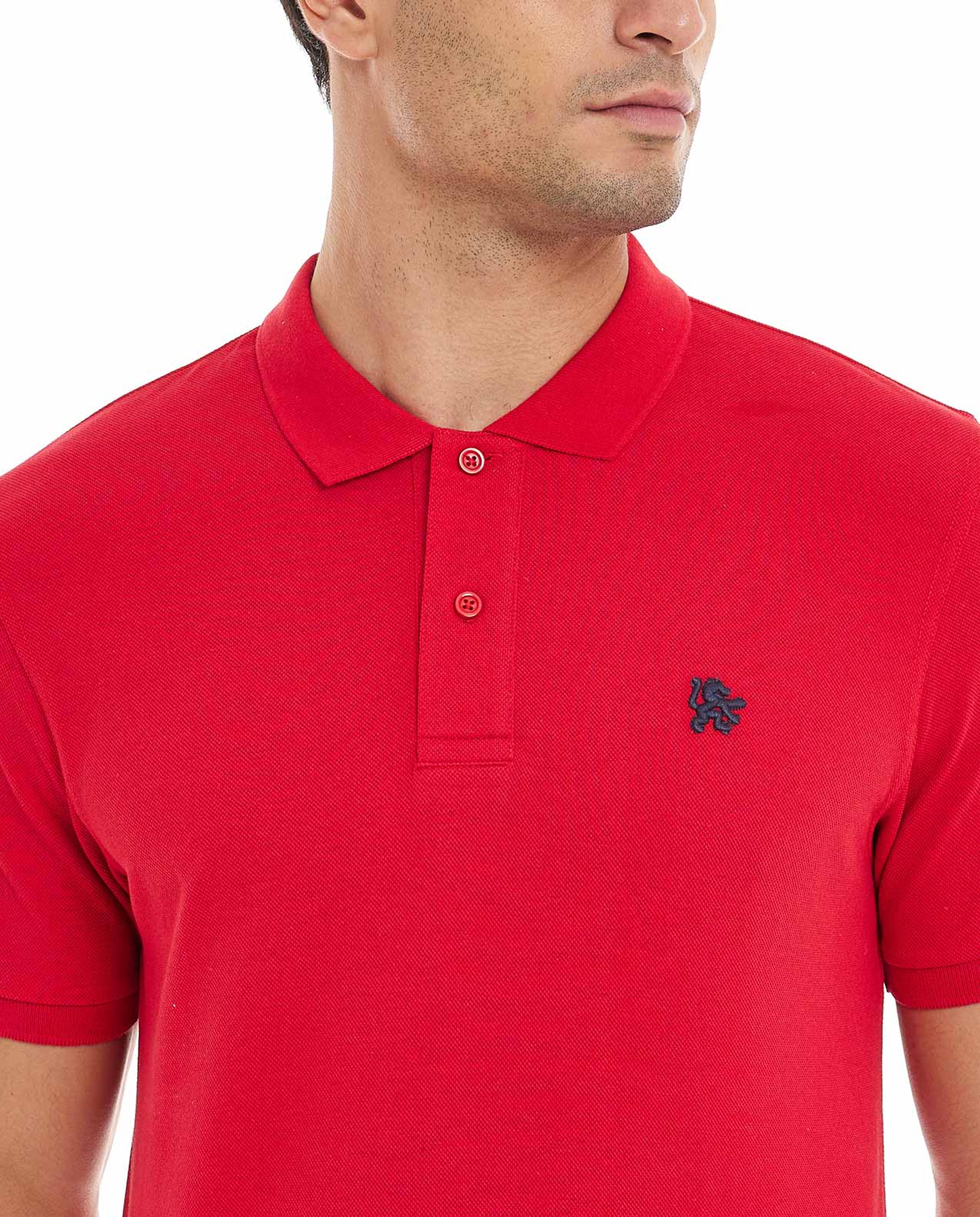 Solid T-Shirt with Polo Collar and Short Sleeves