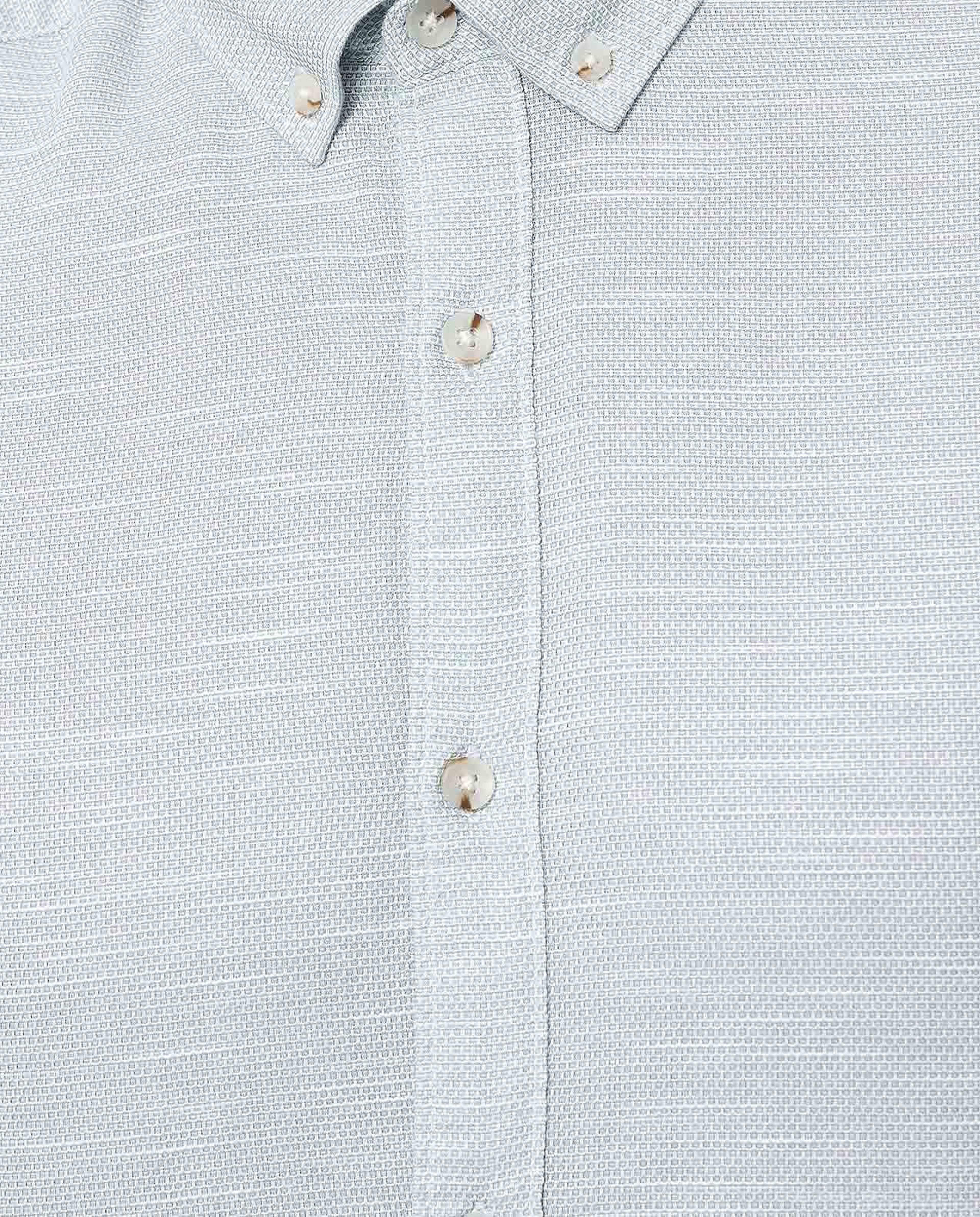 Solid Shirt with Button-Down Collar and Long Sleeves