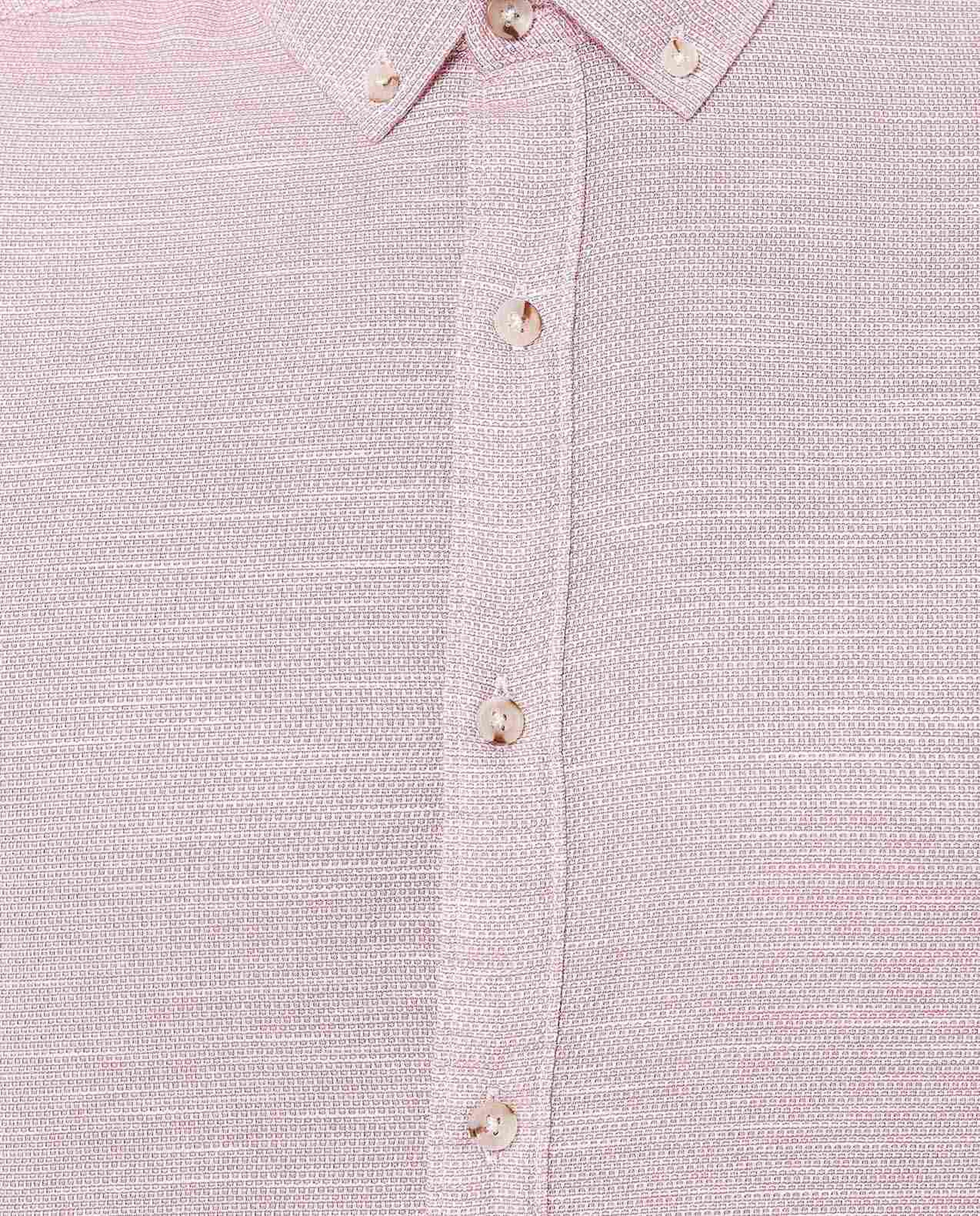 Solid Shirt with Button-Down Collar and Long Sleeves