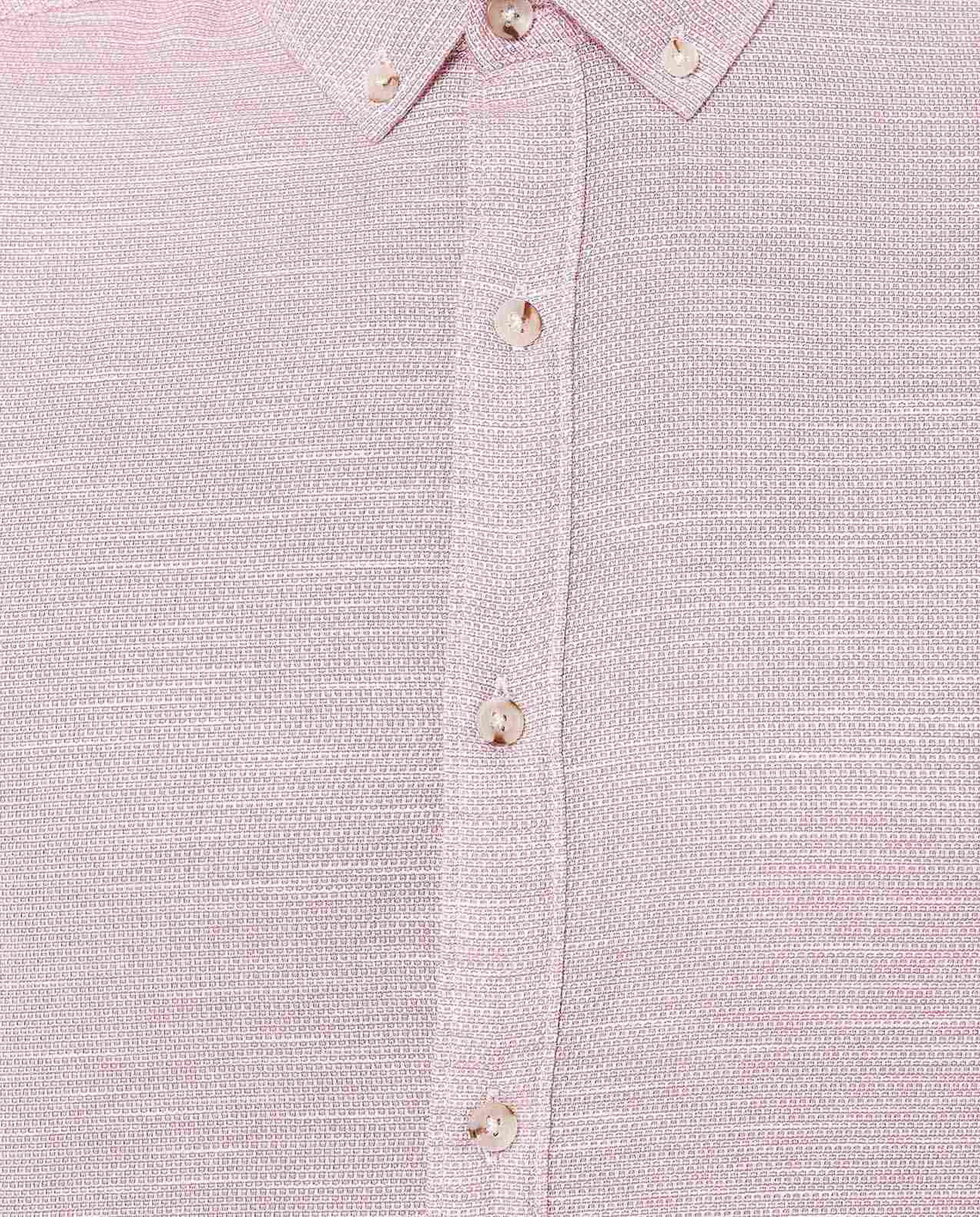 Solid Shirt with Button-Down Collar and Long Sleeves