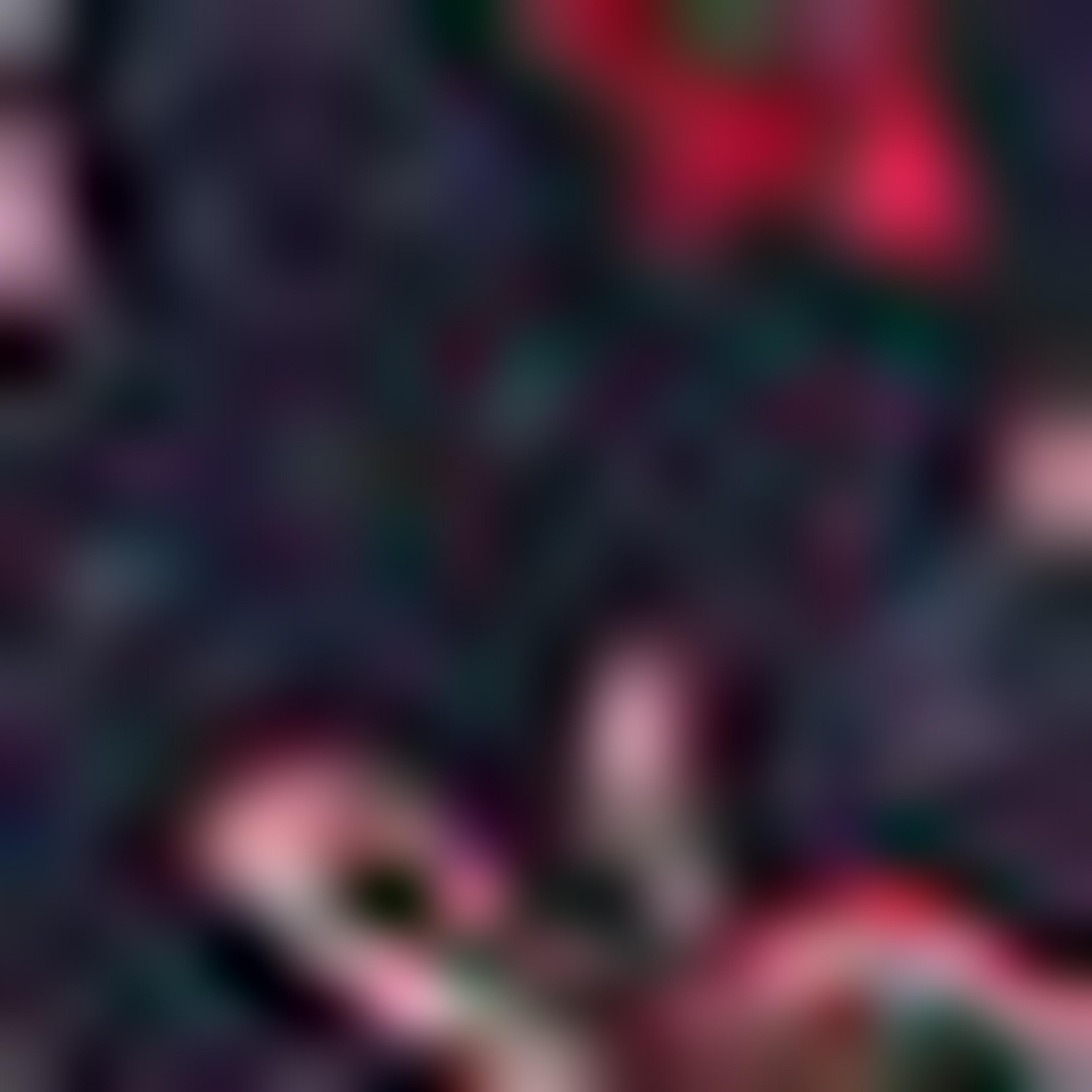 R&B Blue Floral Printed Scarf
