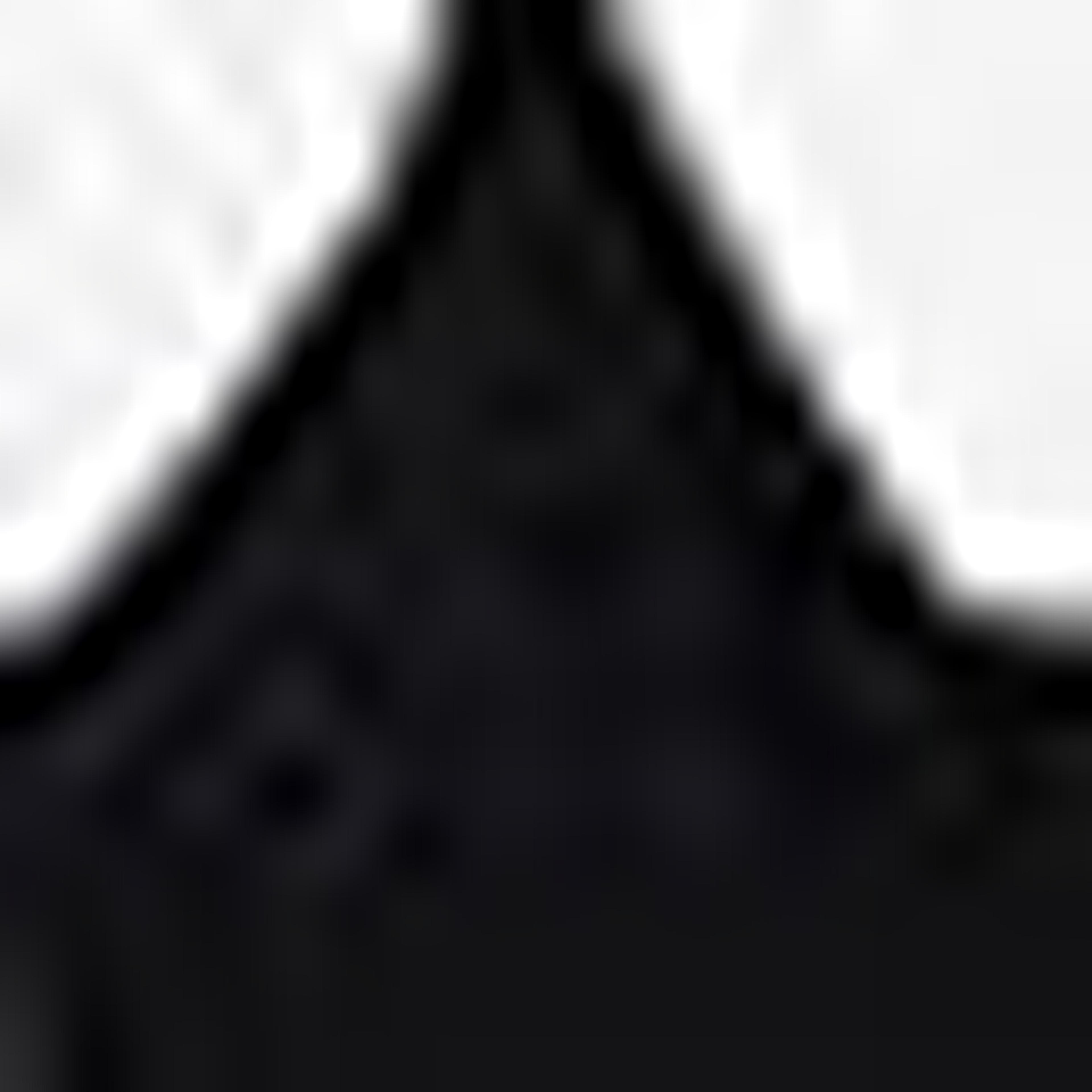 Black Lace Bra
