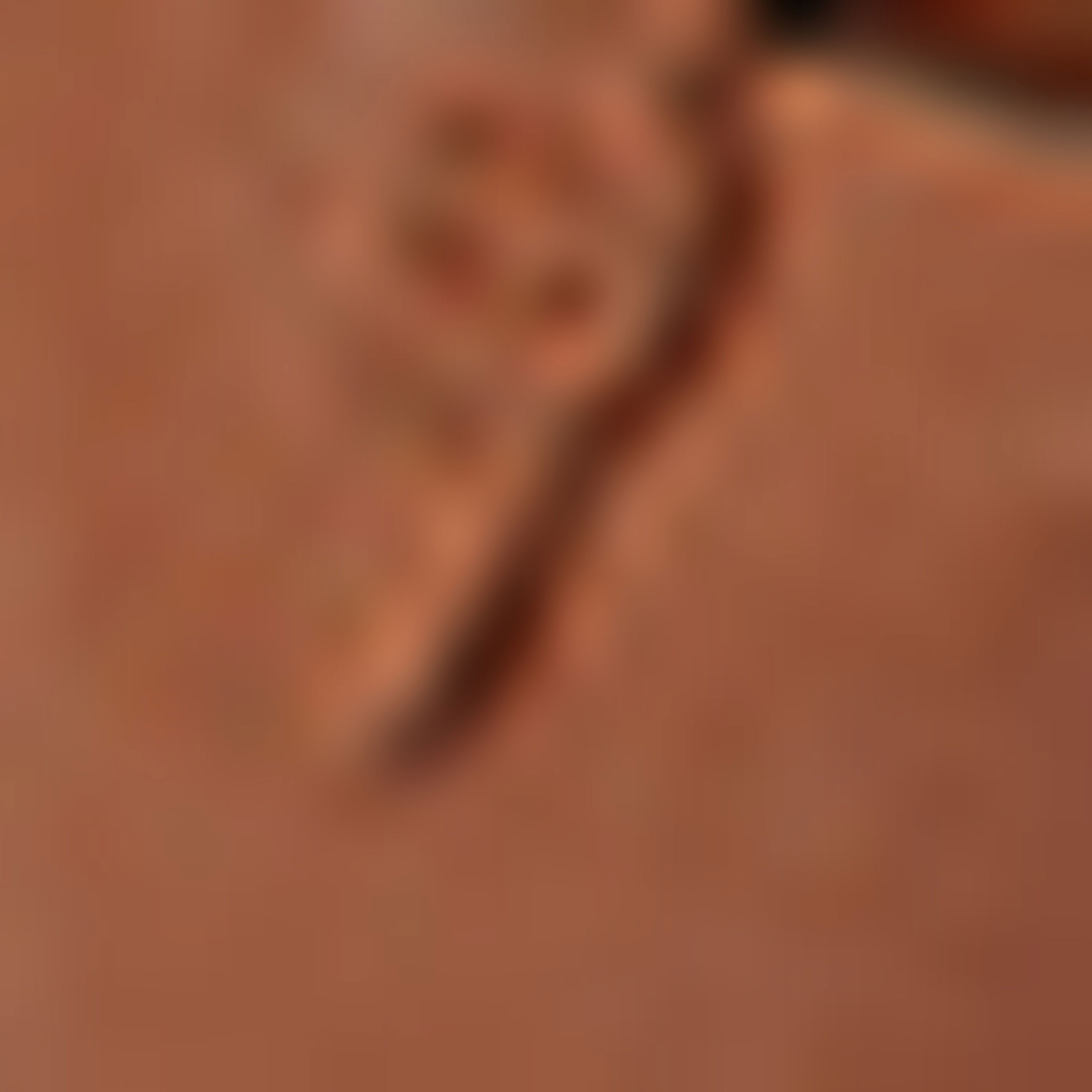 Brown Shoulder bag