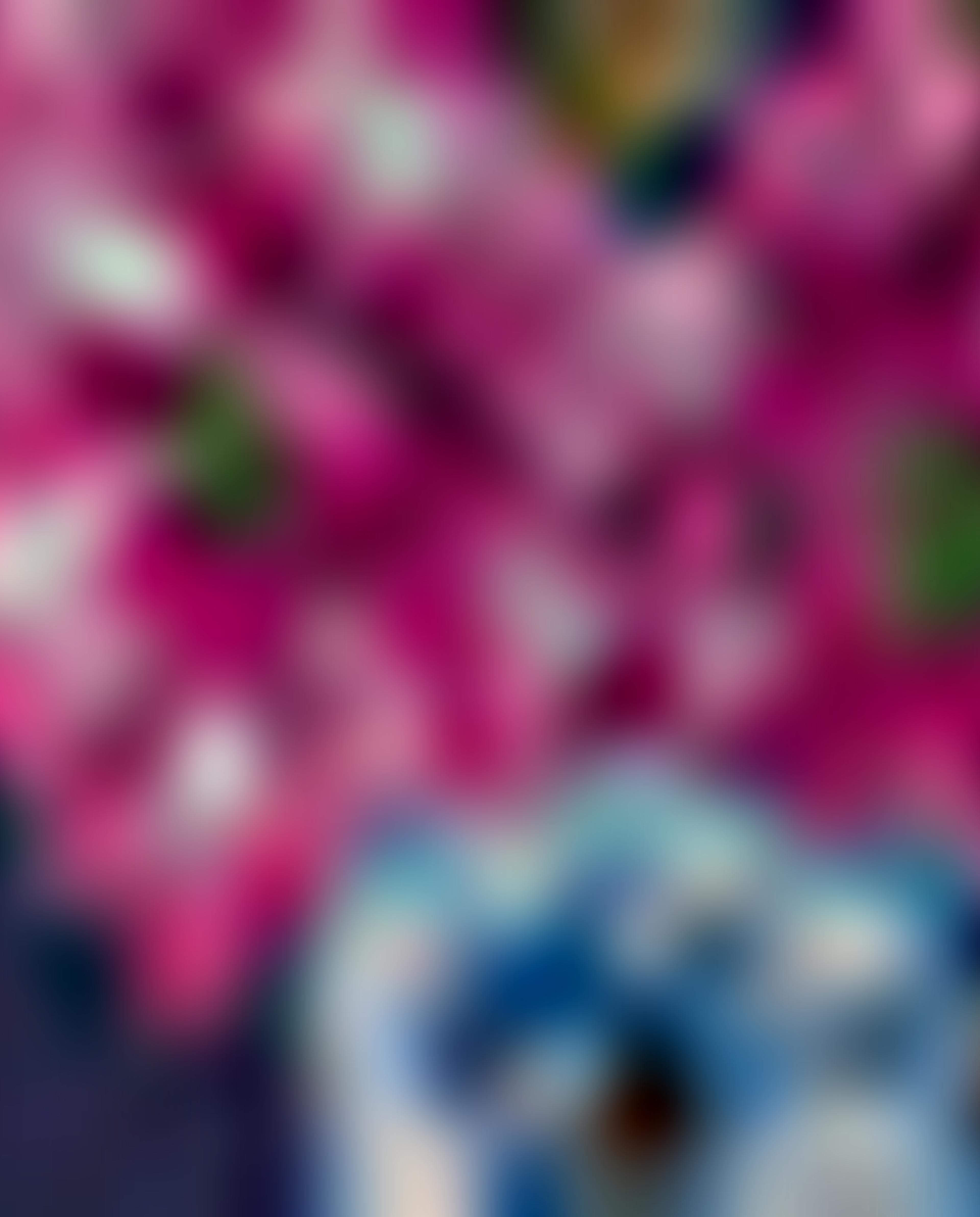 Blue Ladies Scarves