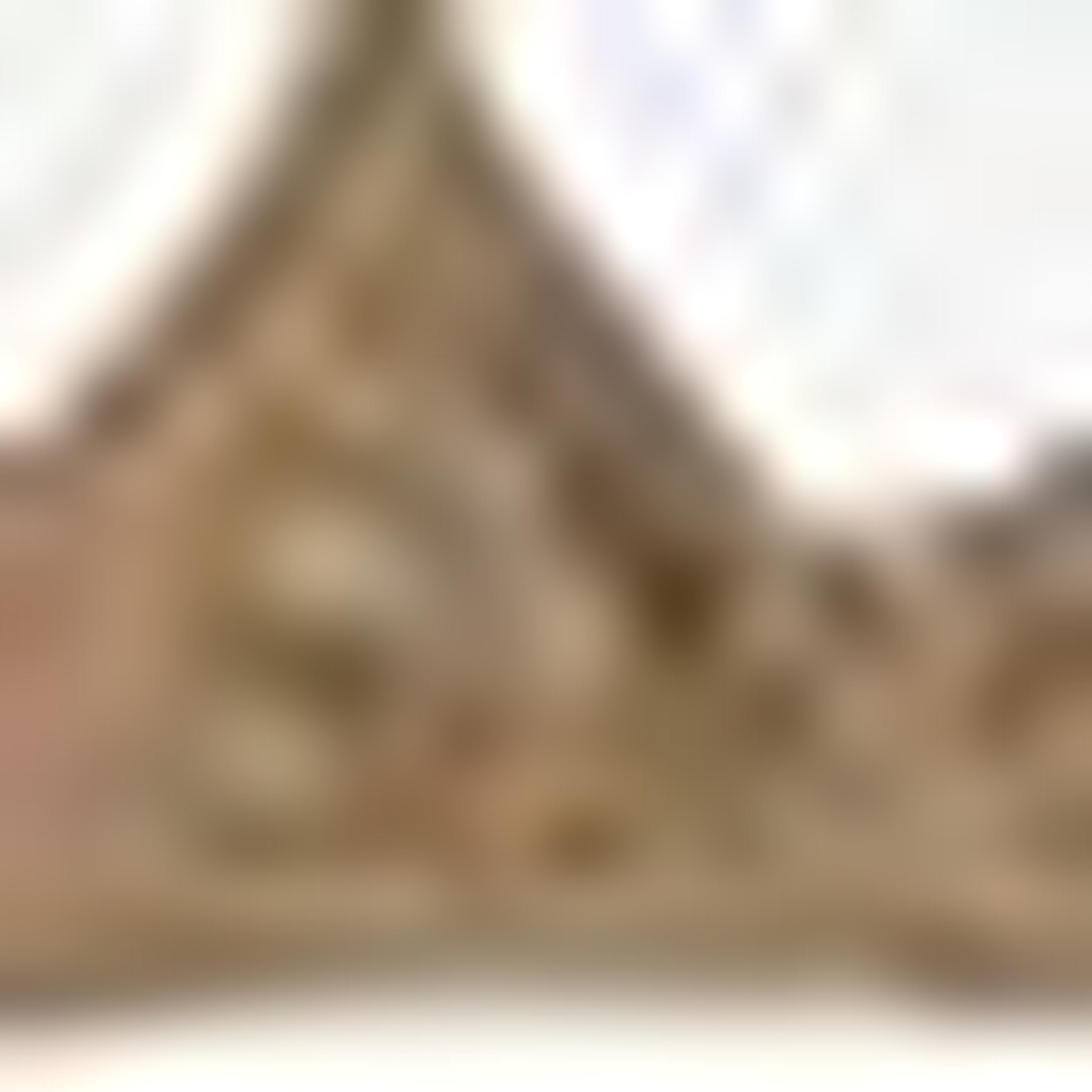 Beige Lace Bra
