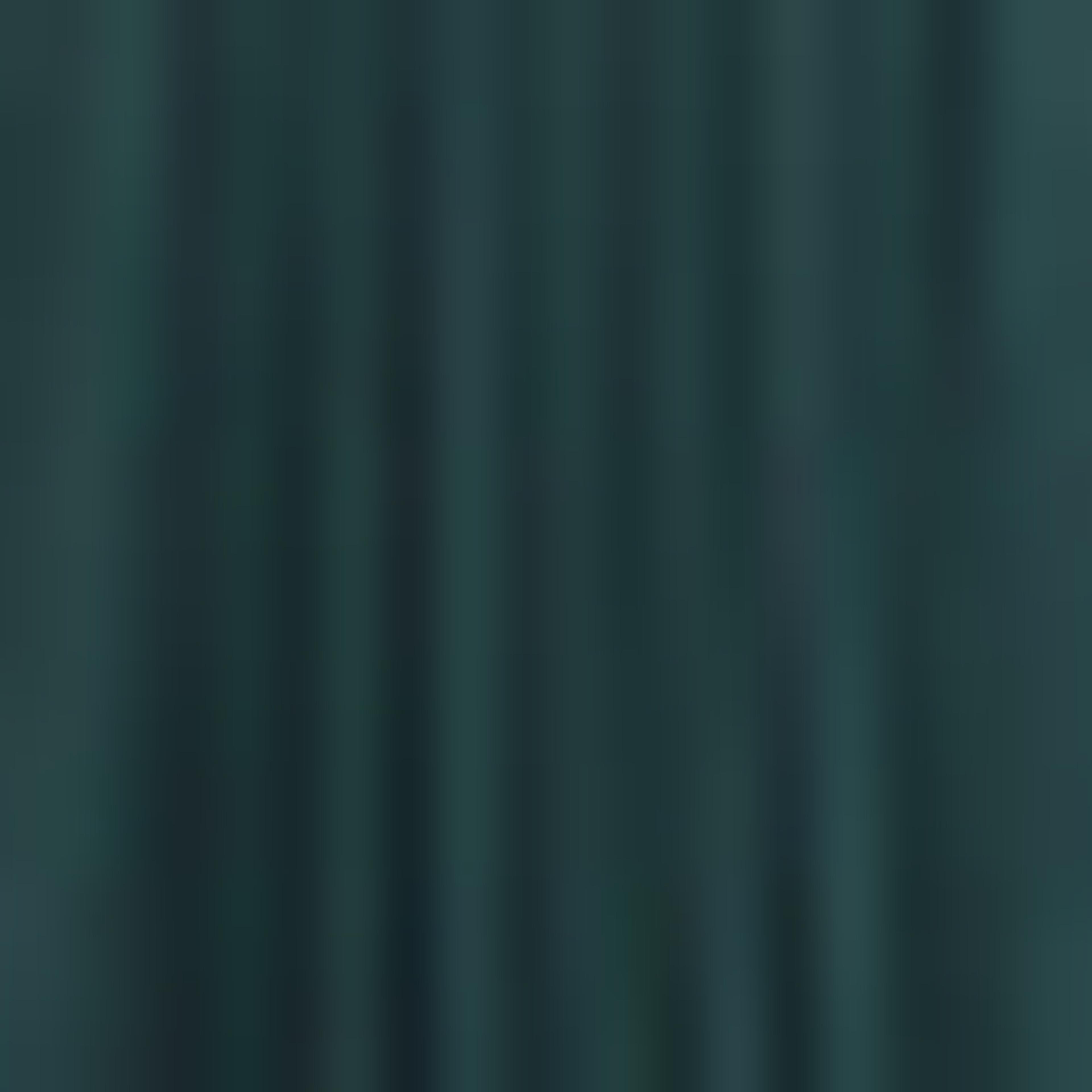 Green Polyester Pleated Skirt