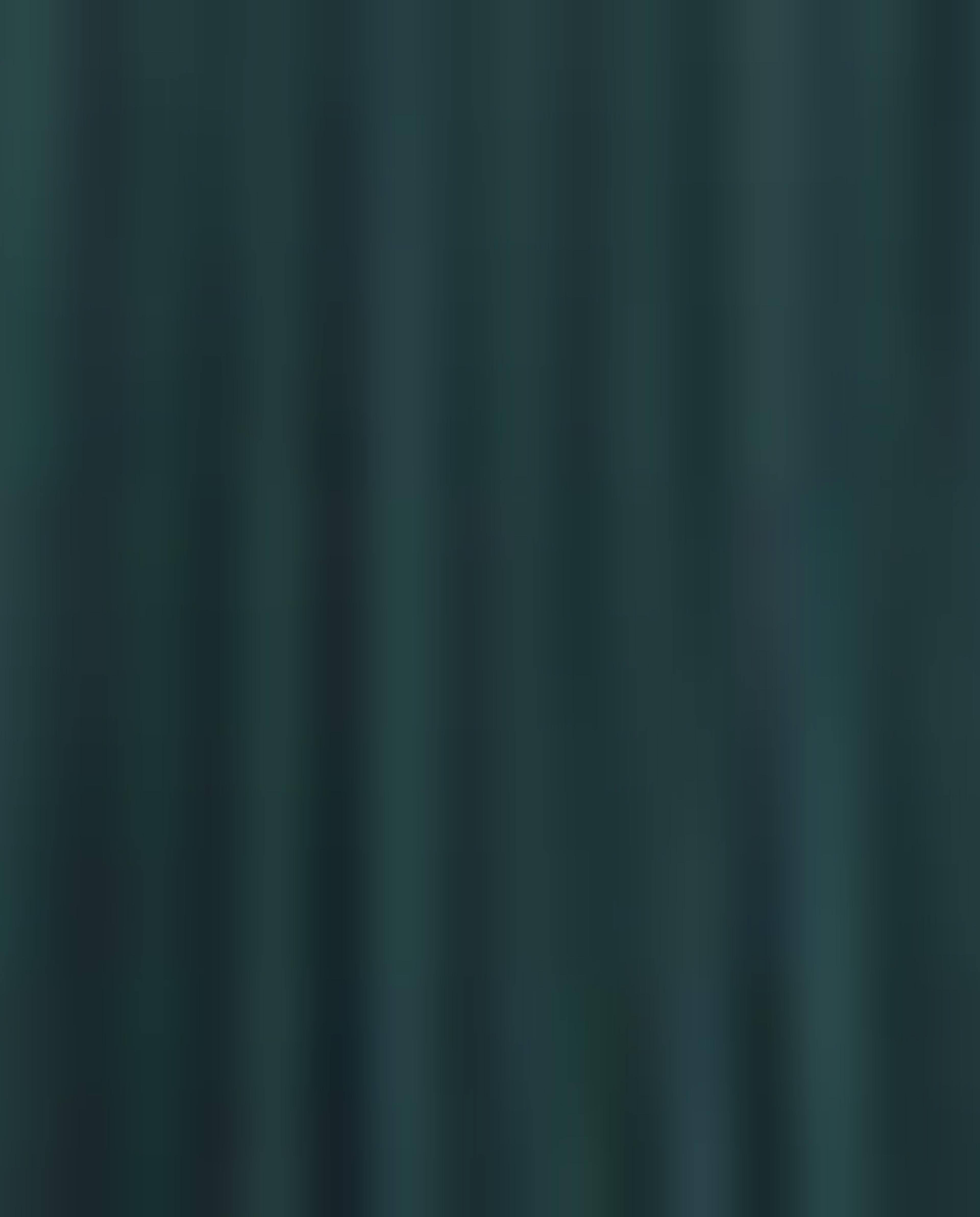 Green Polyester Pleated Skirt