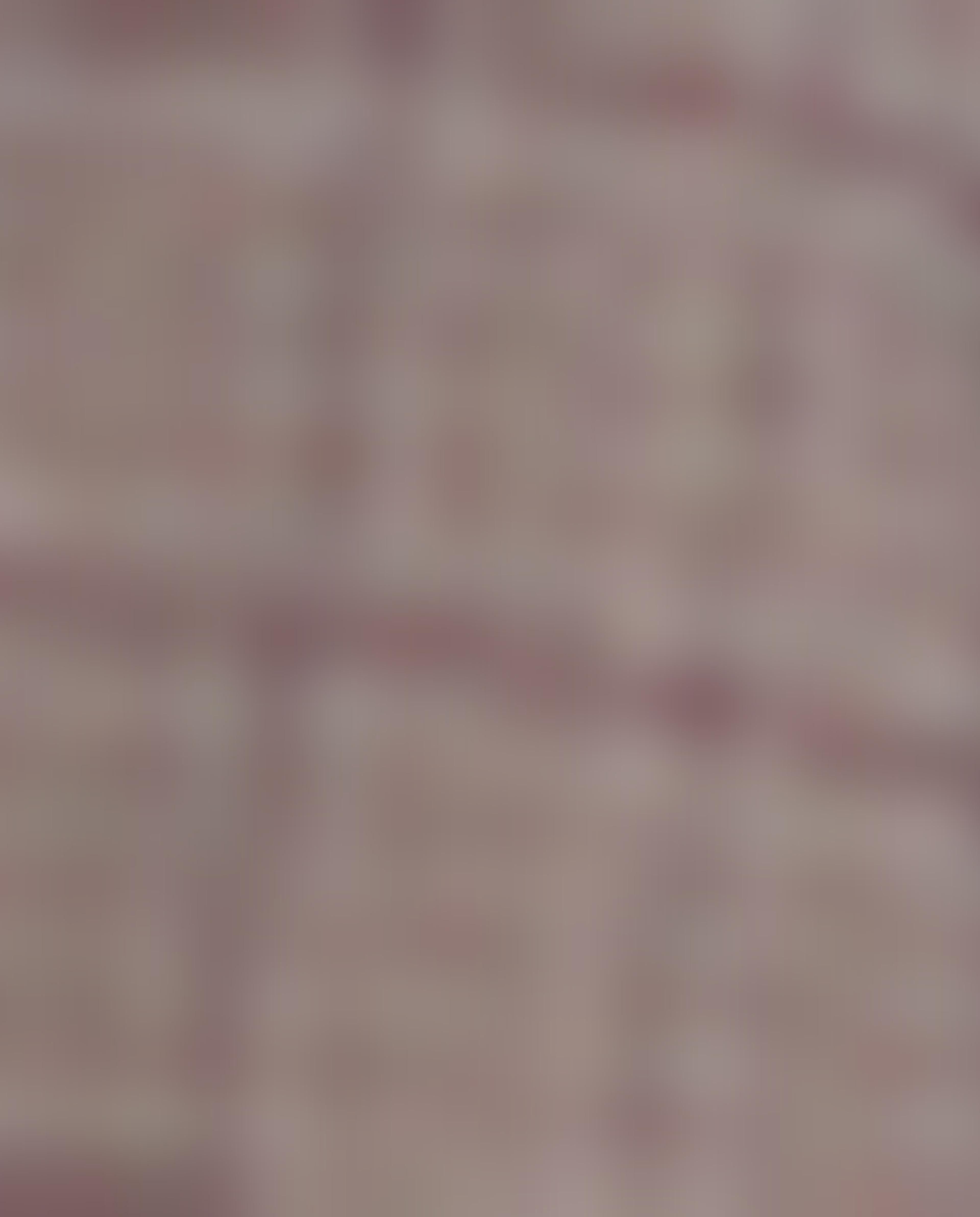 Brown Polyester Jacket