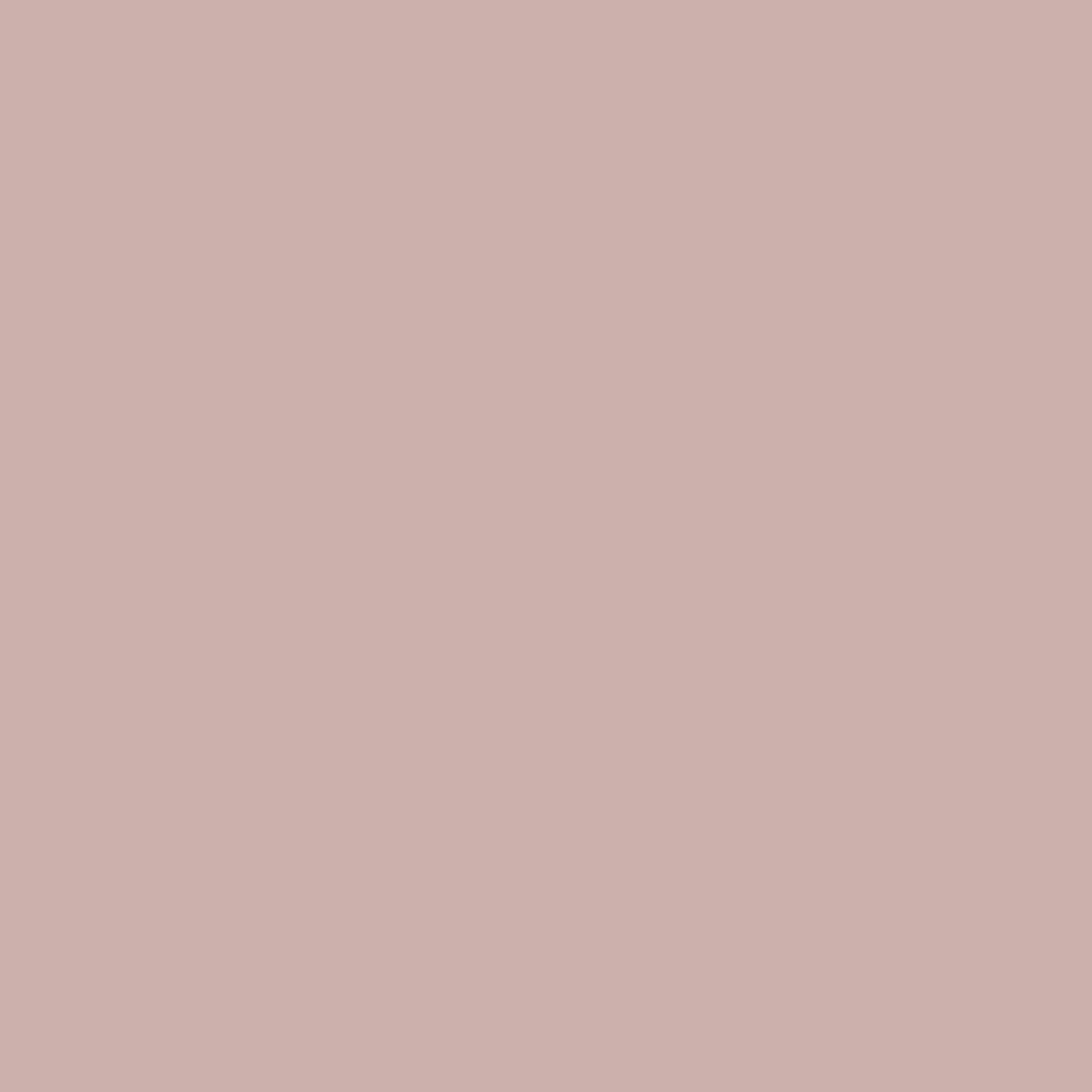 Pink Solid Design Slim Card Wallet