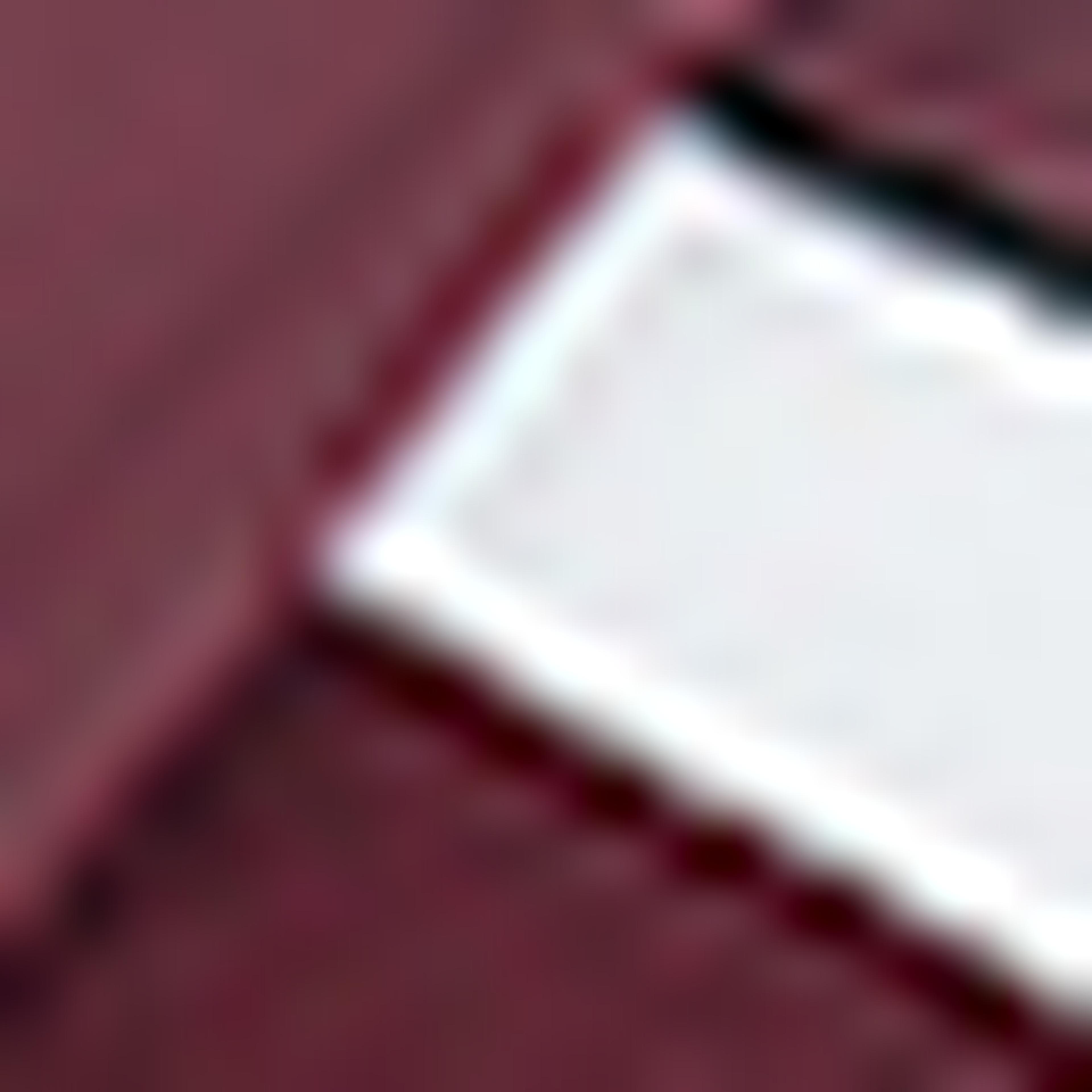 Burgundy Sports Shoes