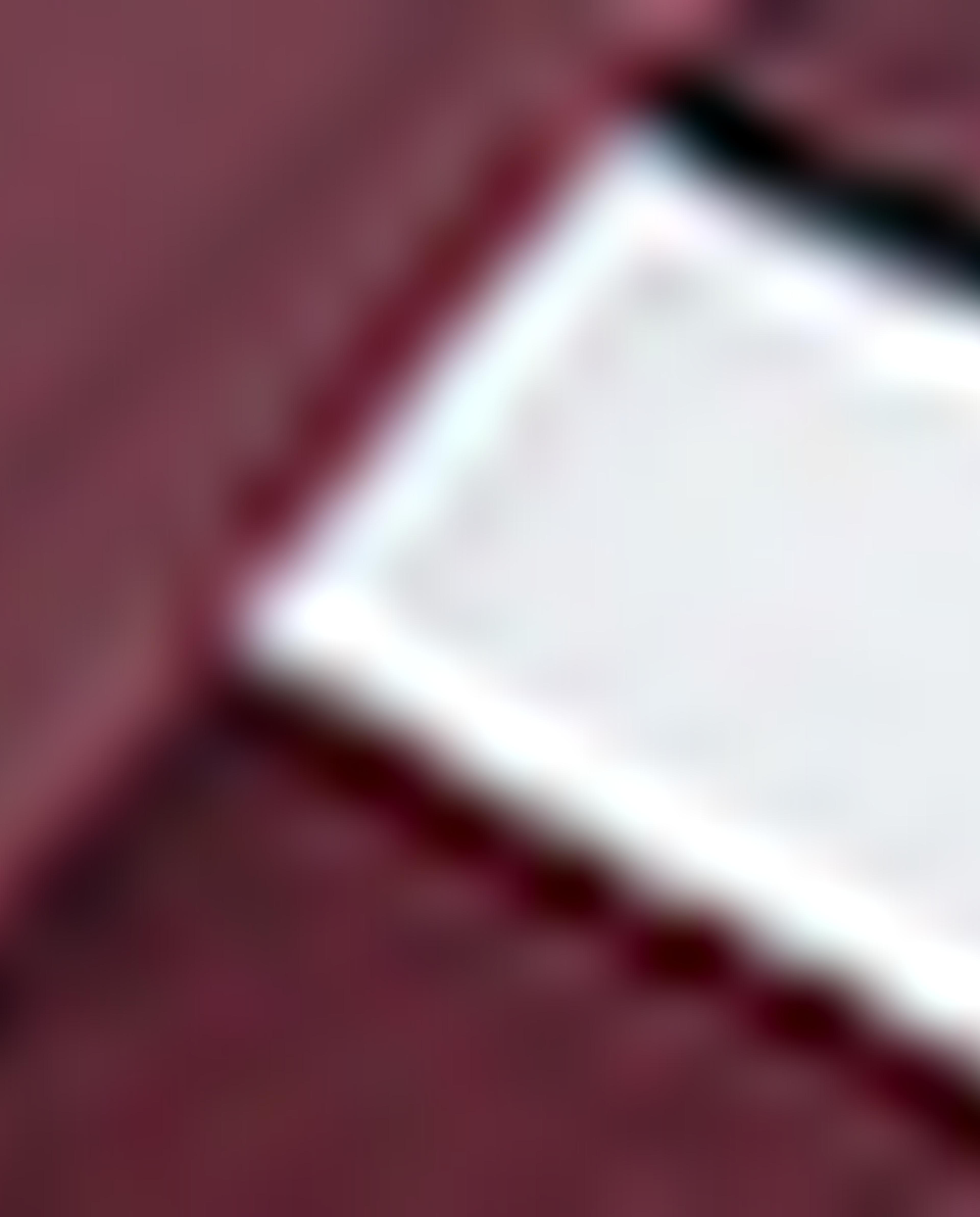 Burgundy Sports Shoes