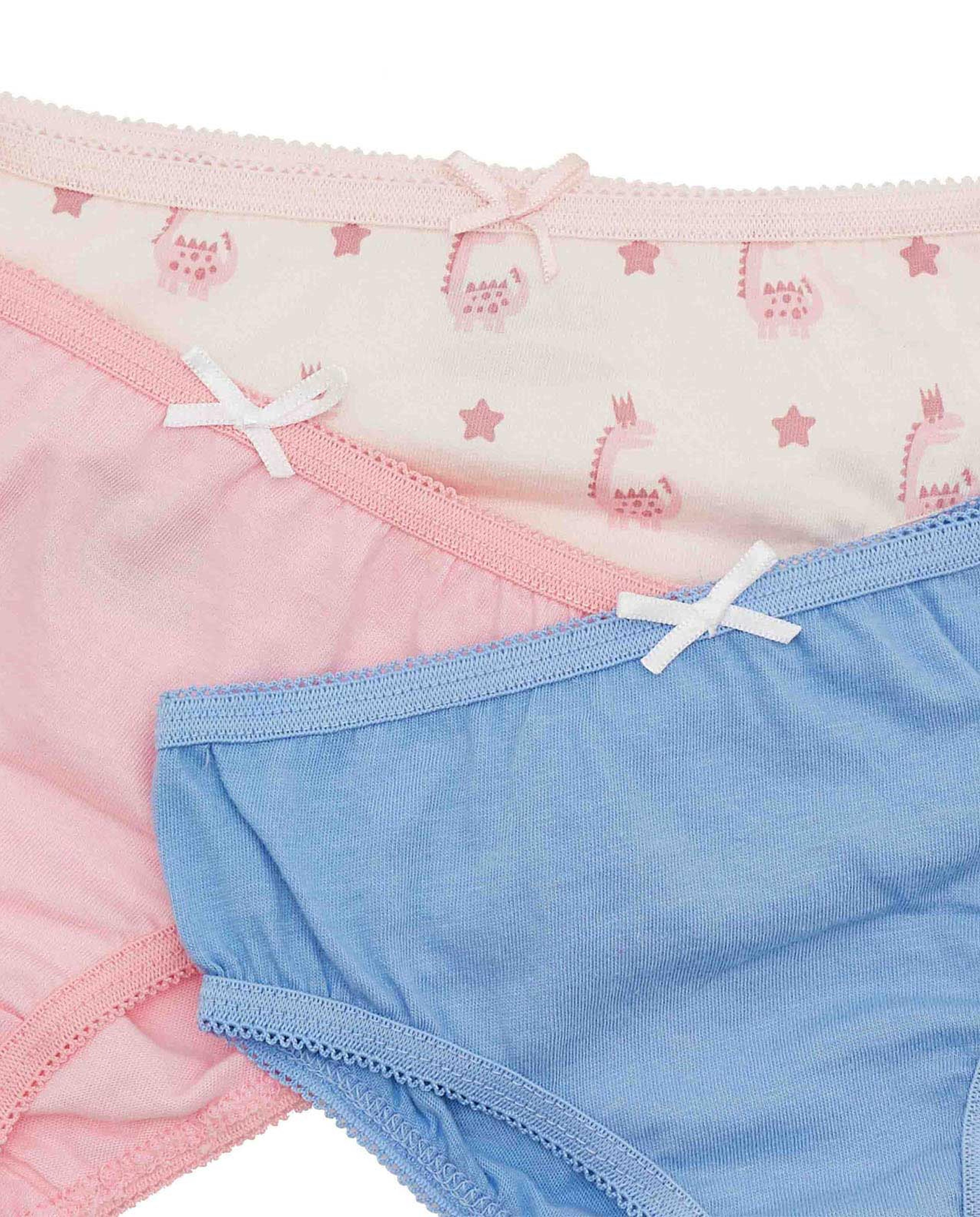 Pack of 3 Briefs