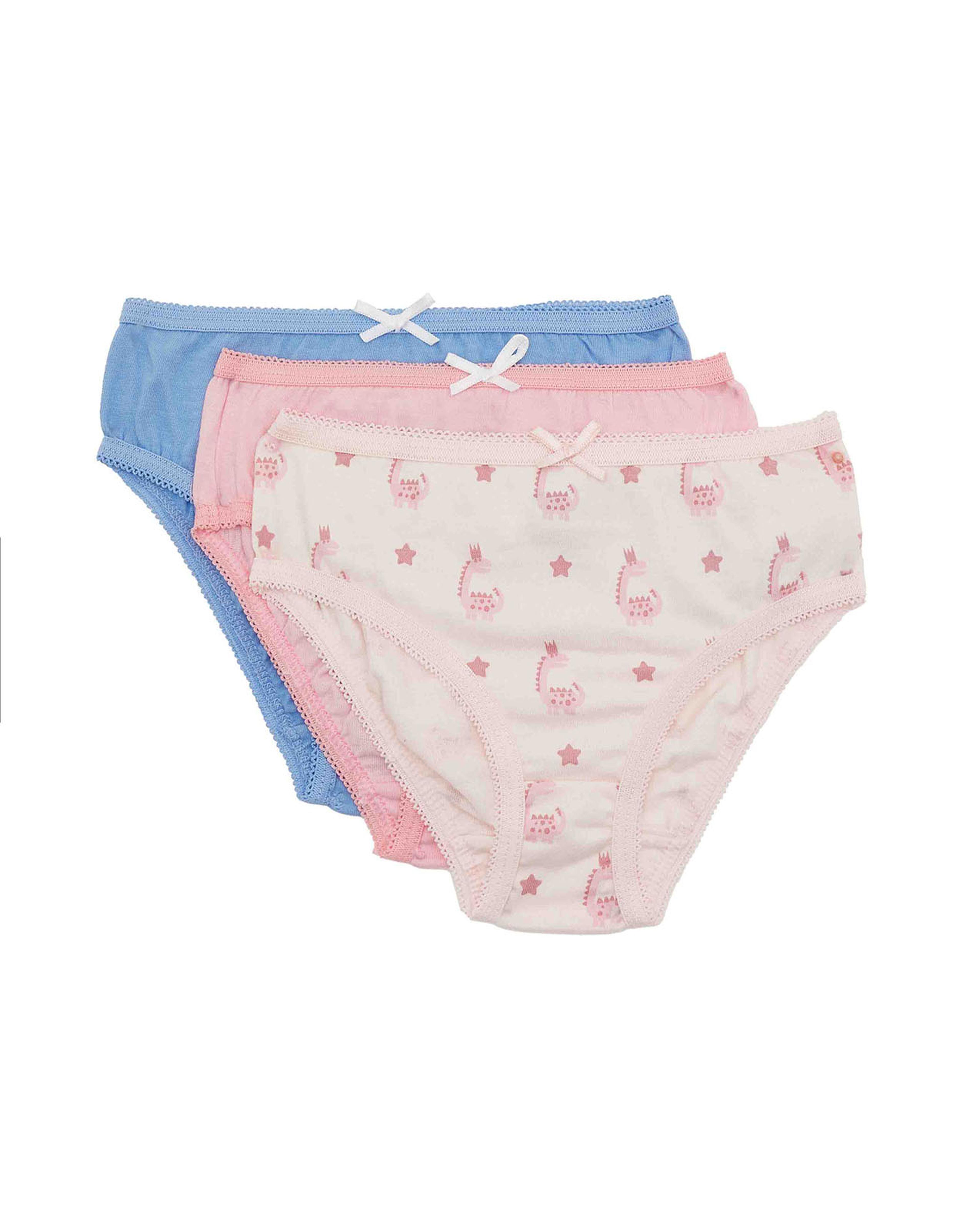 Pack of 3 Briefs