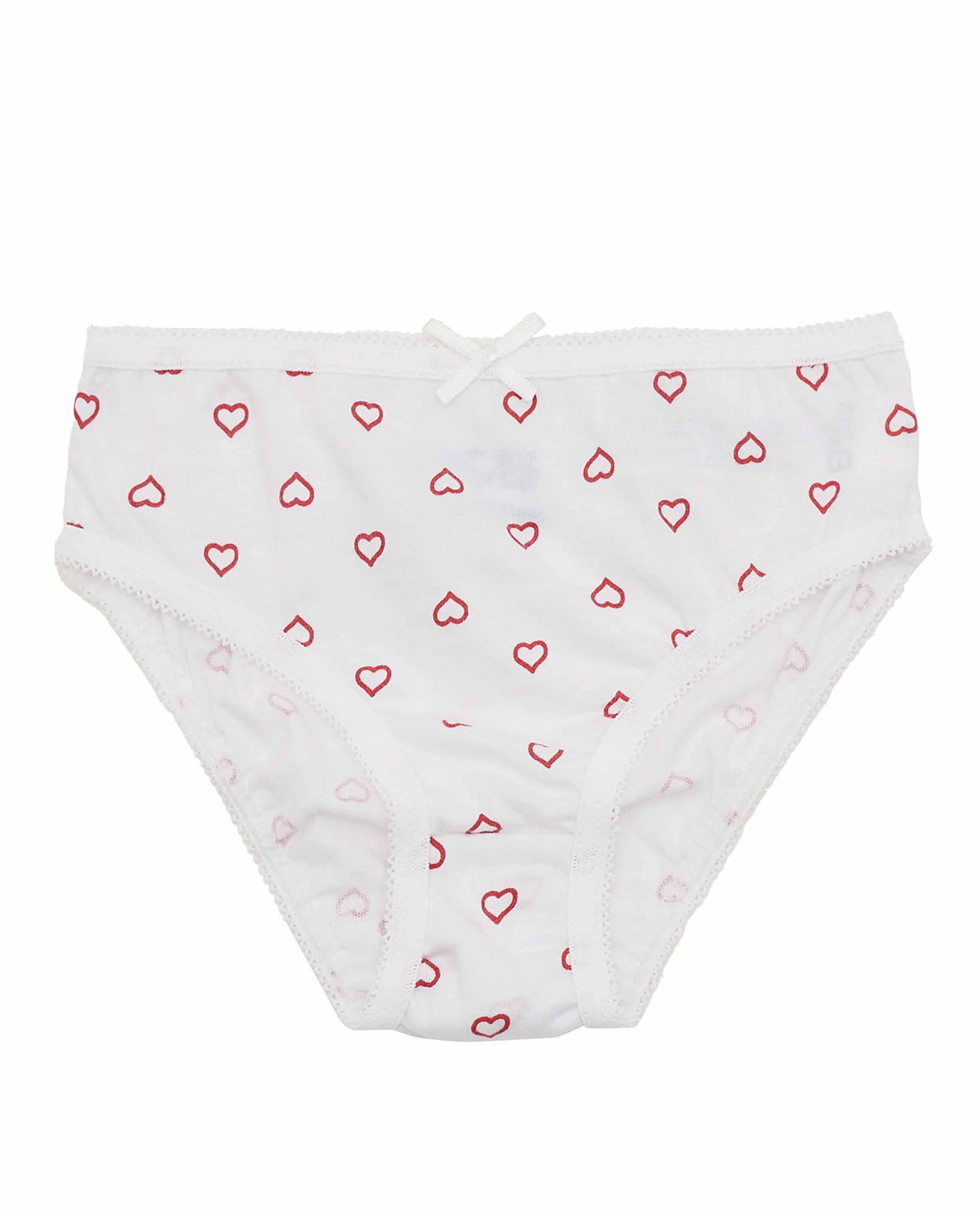 Pack of 3 Briefs