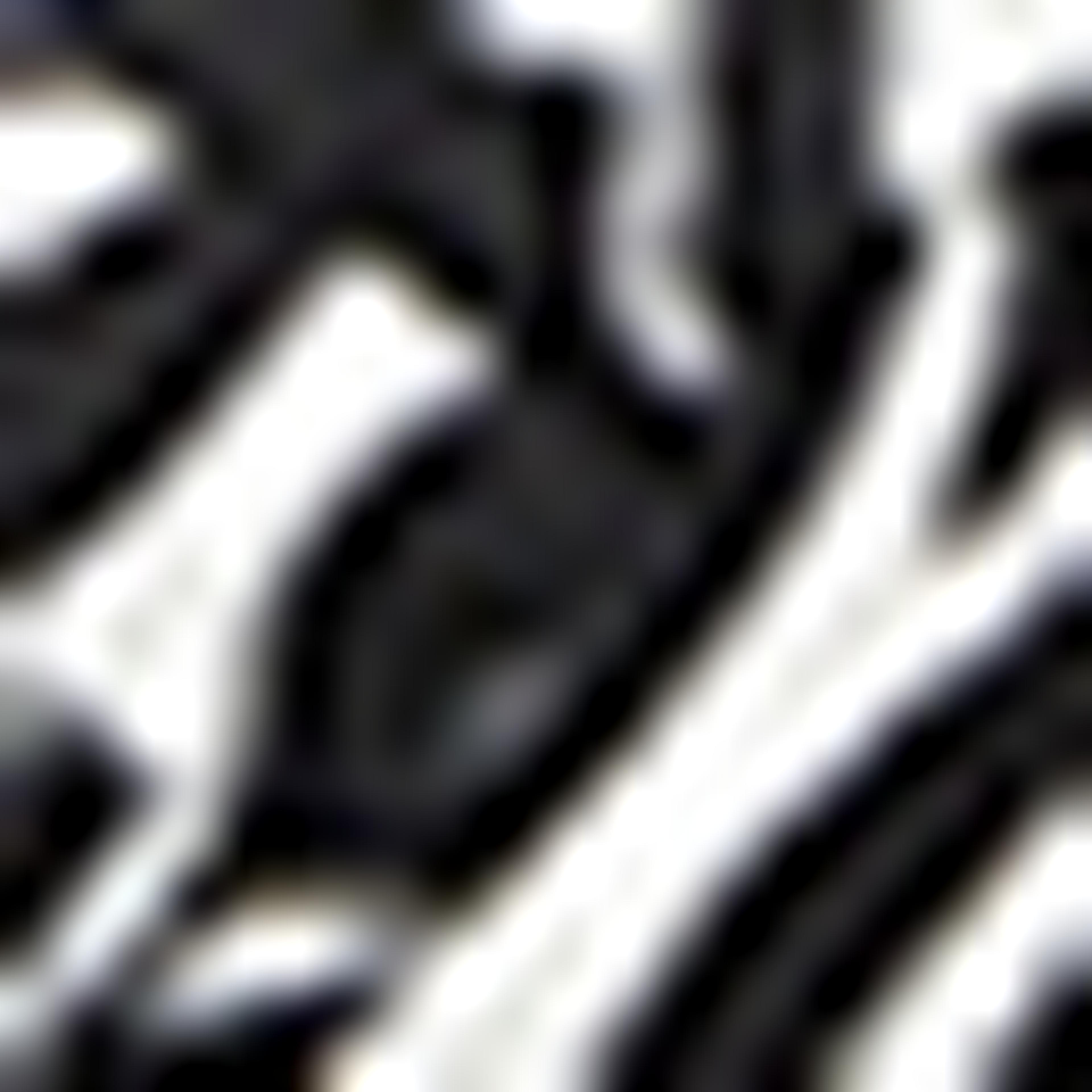Knot Detailed Zebra Print Headband